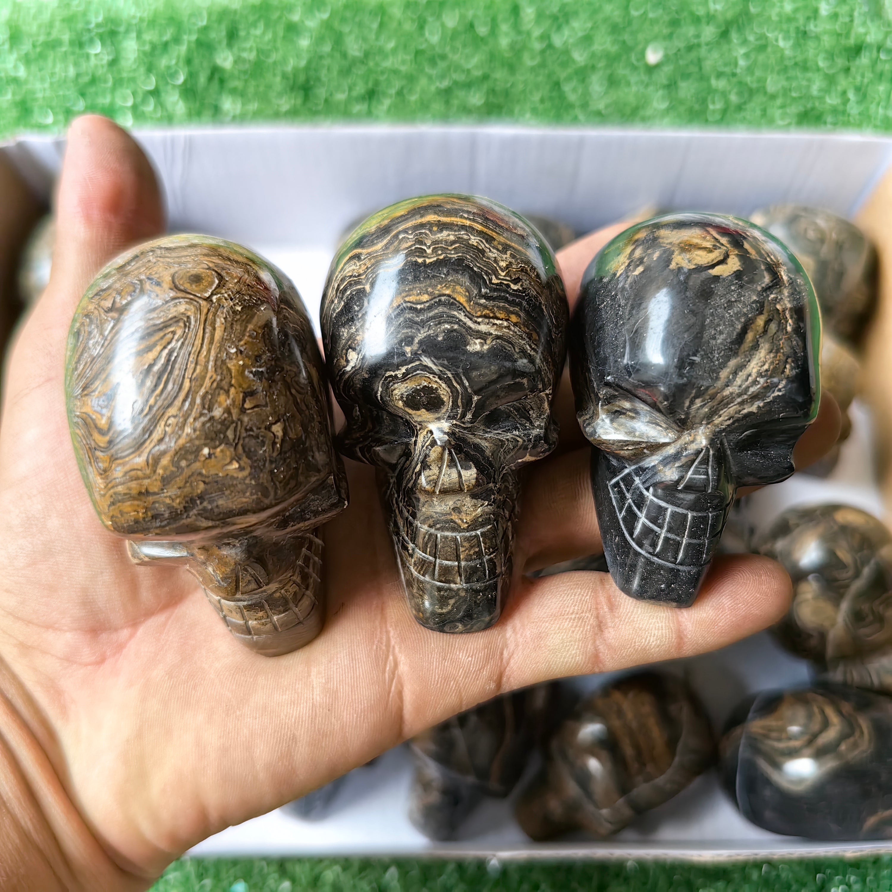 20 pc stramatolite skulls