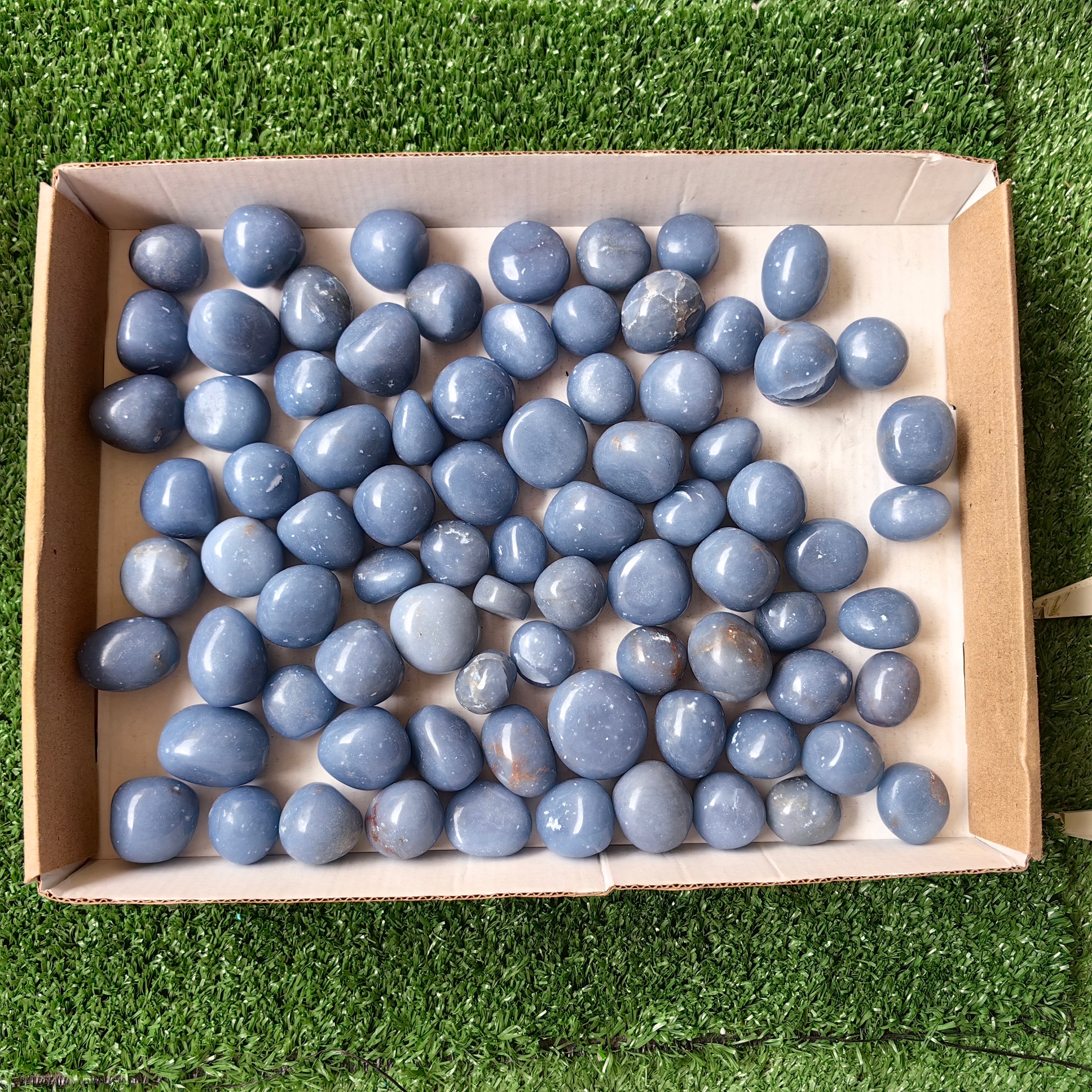 2 kg tumbled blue angelite