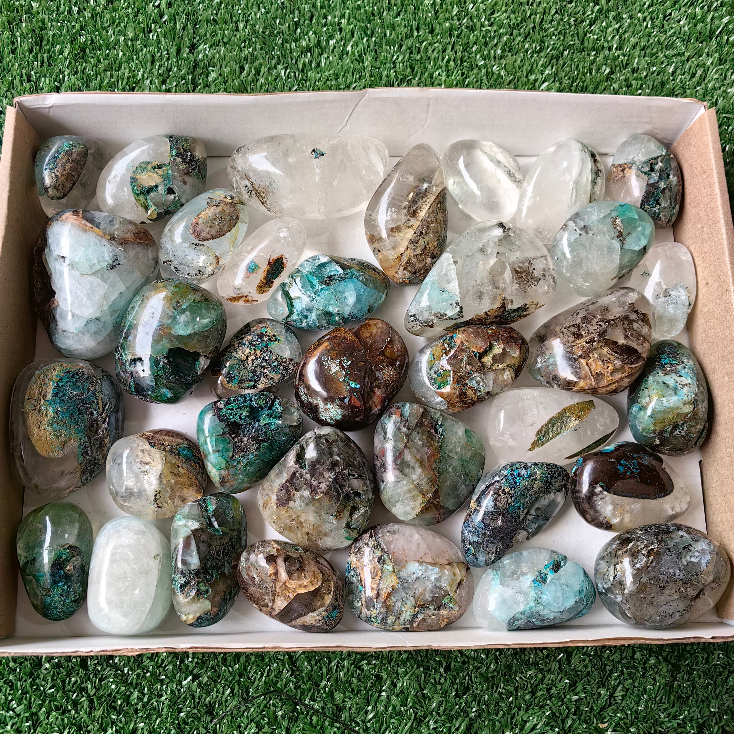 33 pc Chrysocolla on quartz Free Form
