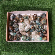41 pc Chrysocolla on quartz Free Form