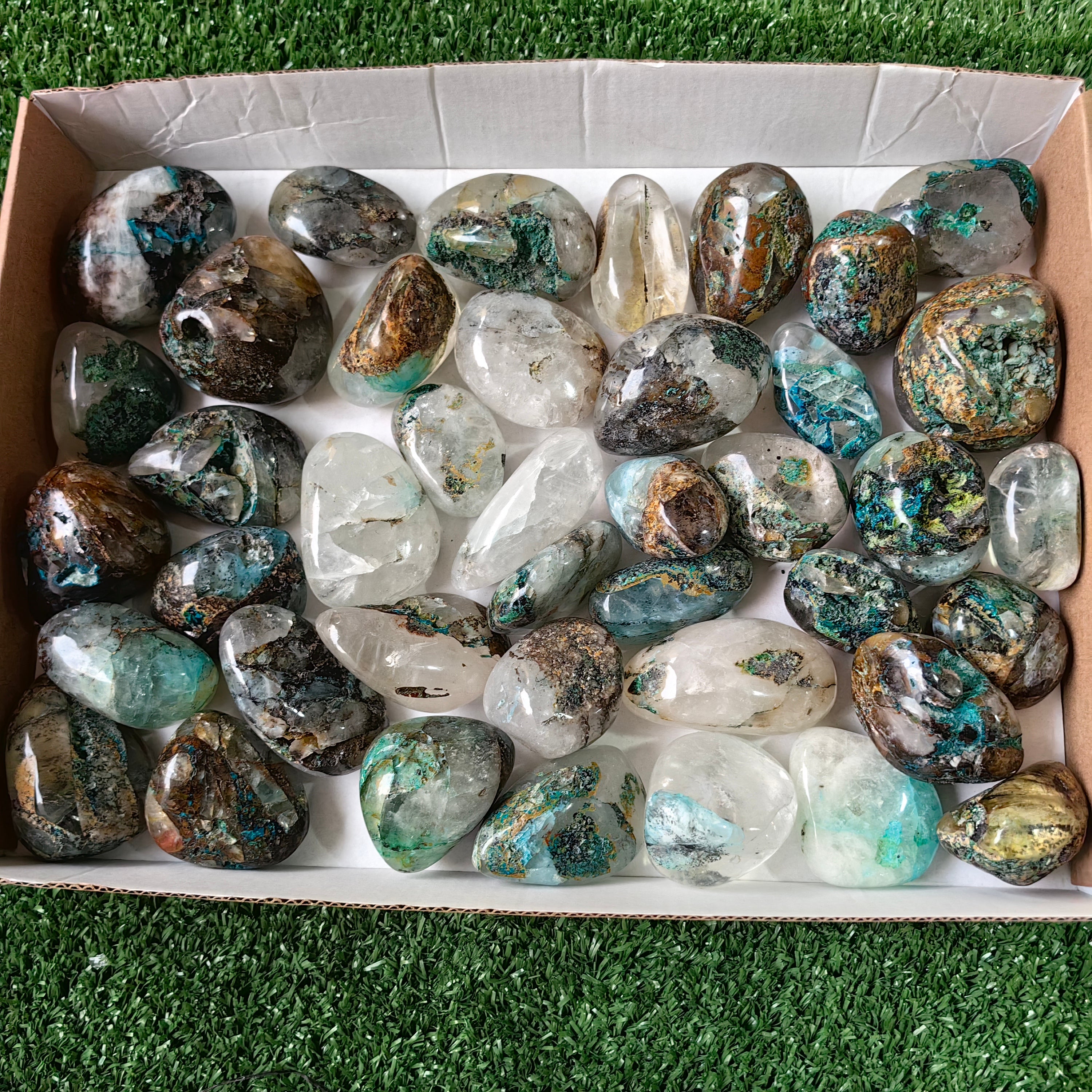 41 pc Chrysocolla on quartz Free Form