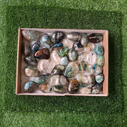41 pc Chrysocolla on quartz Free Form