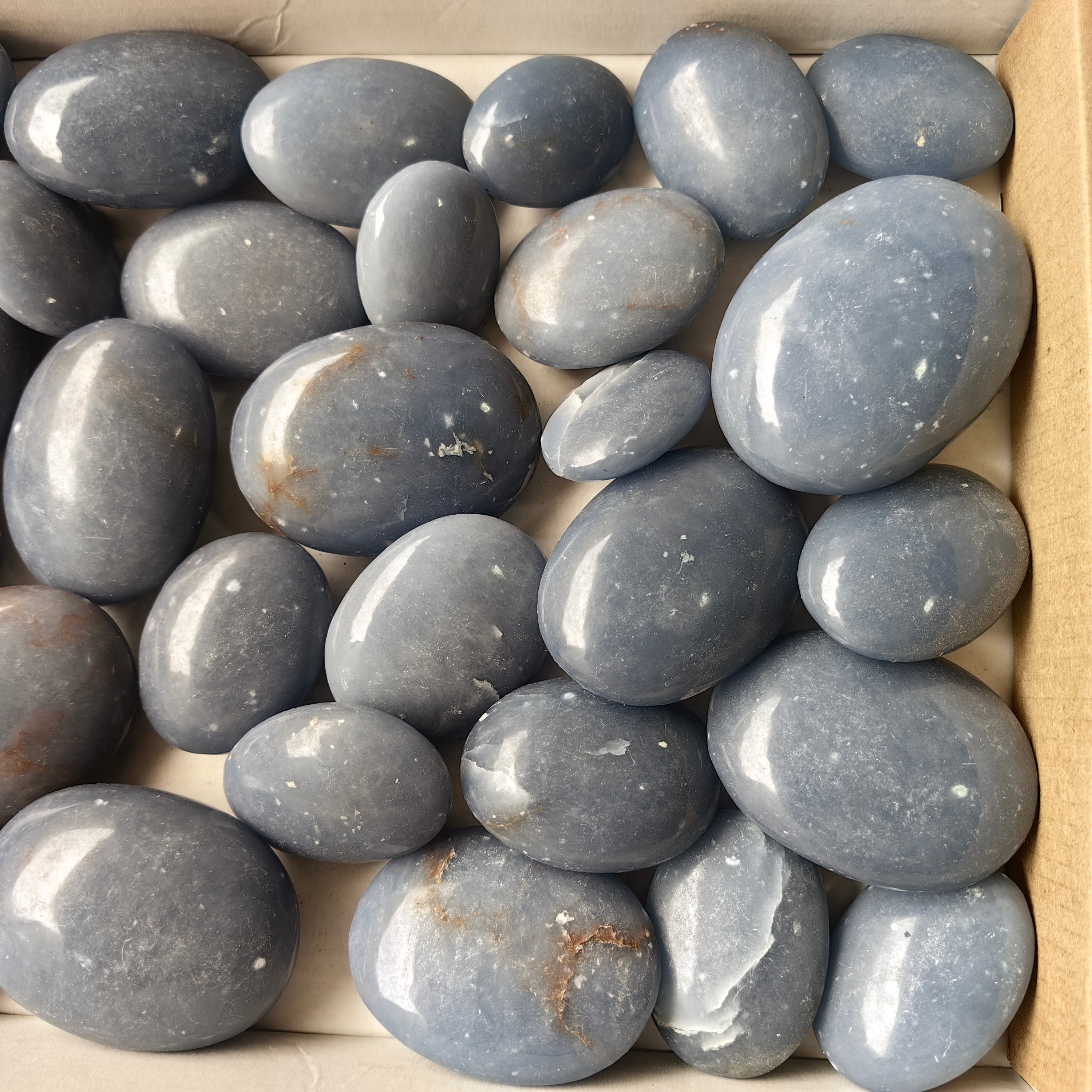 33 pc blue angelite palms