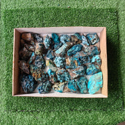 37 pc chrysocolla quartz from tentadora mine