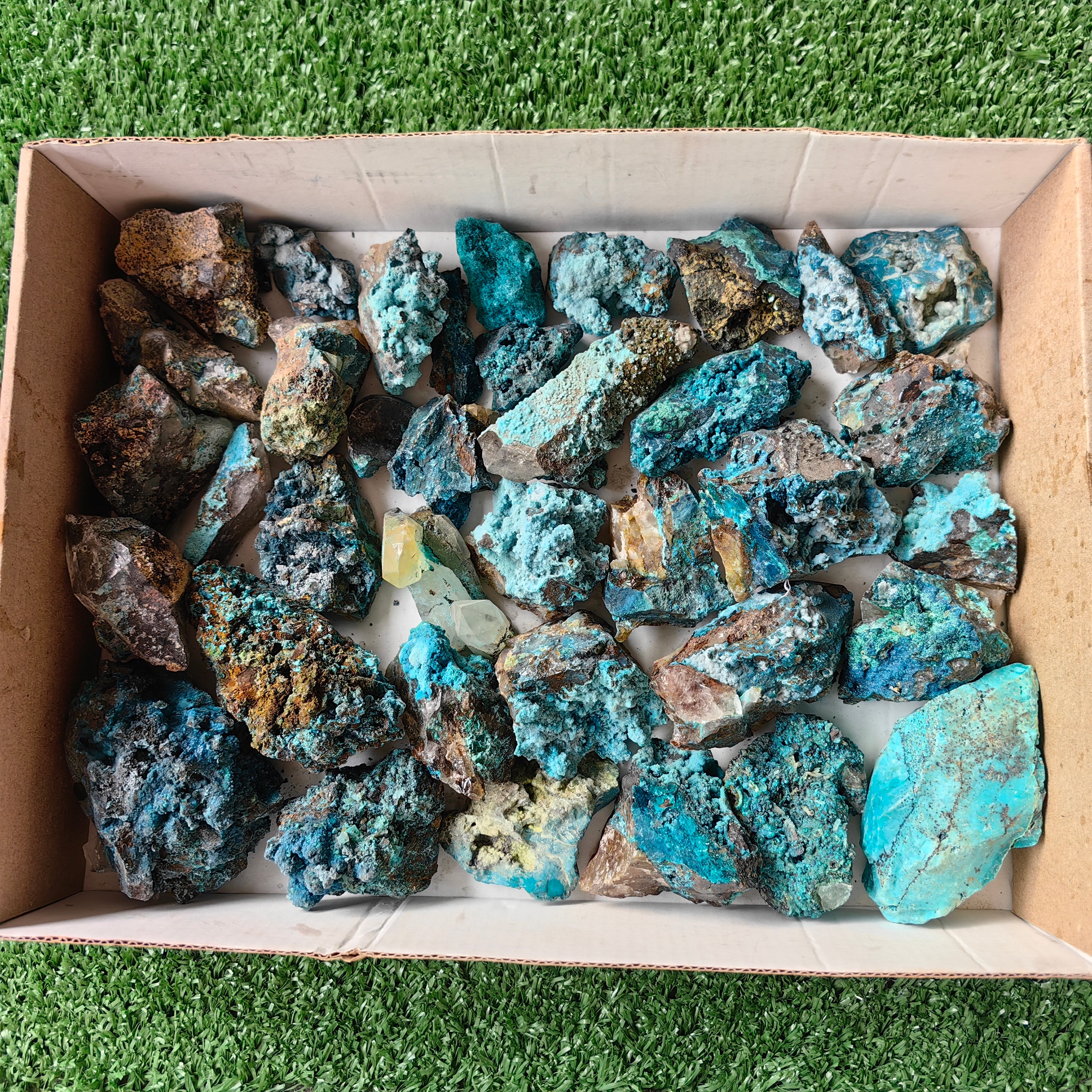 37 pc chrysocolla quartz from tentadora mine