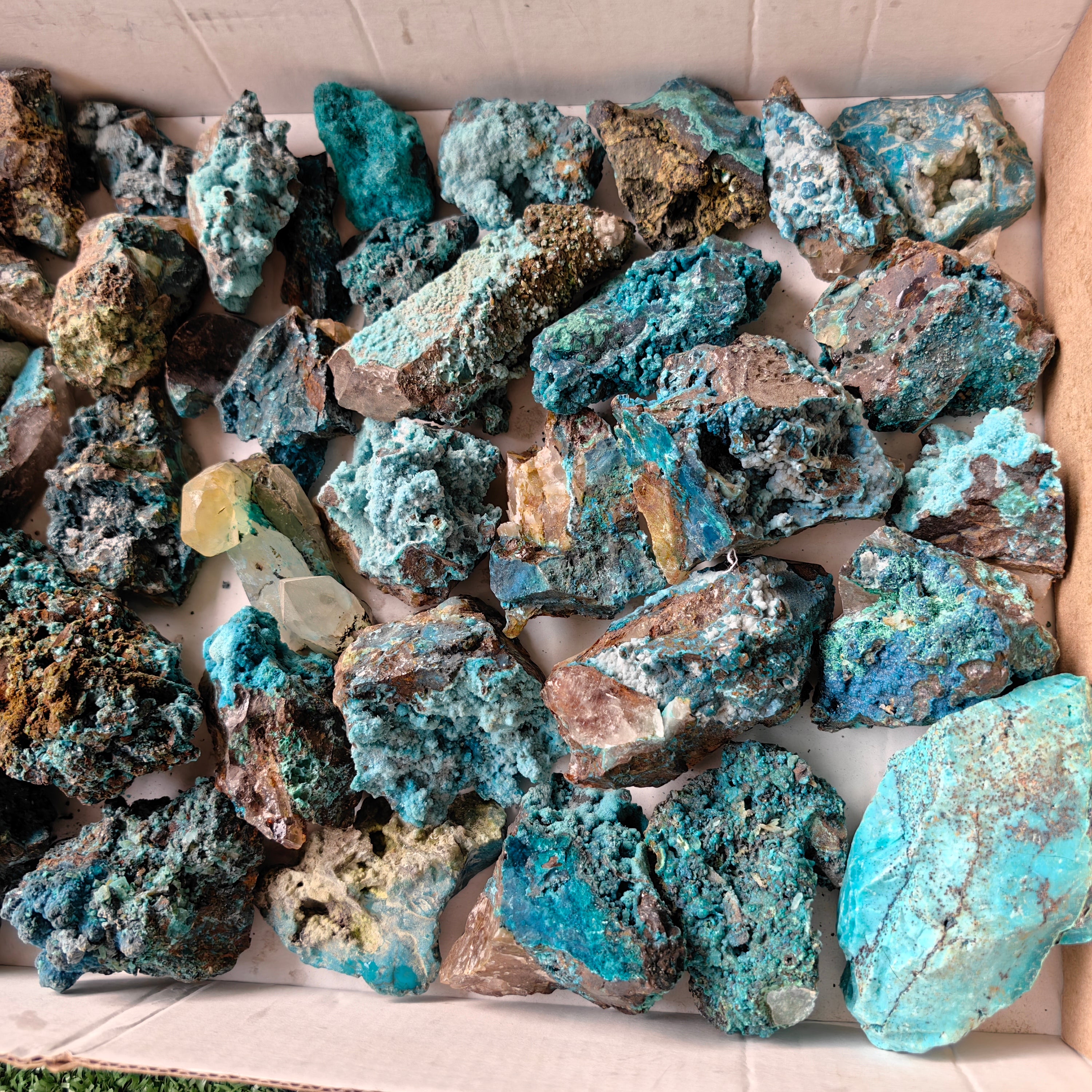 37 pc chrysocolla quartz from tentadora mine