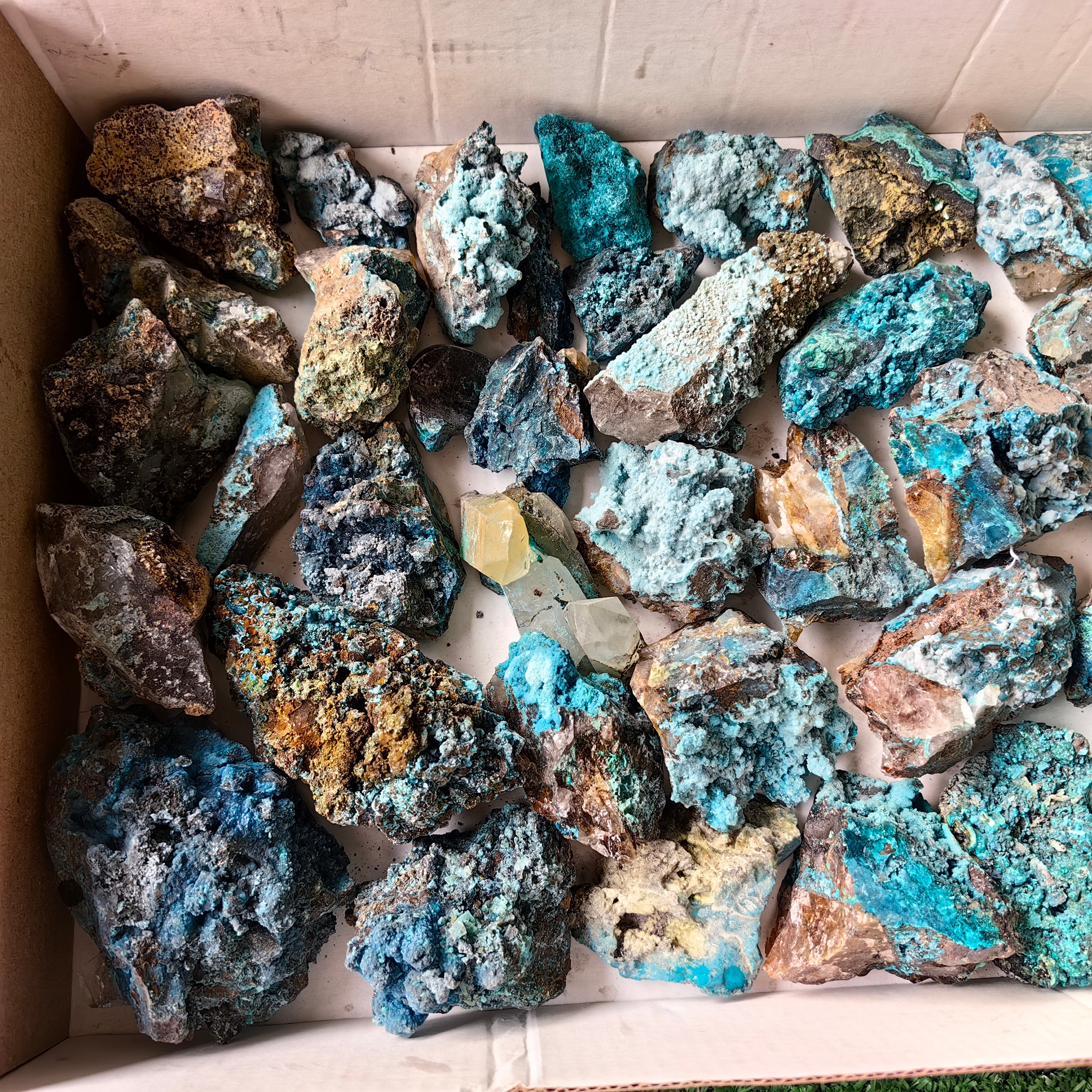 37 pc chrysocolla quartz from tentadora mine