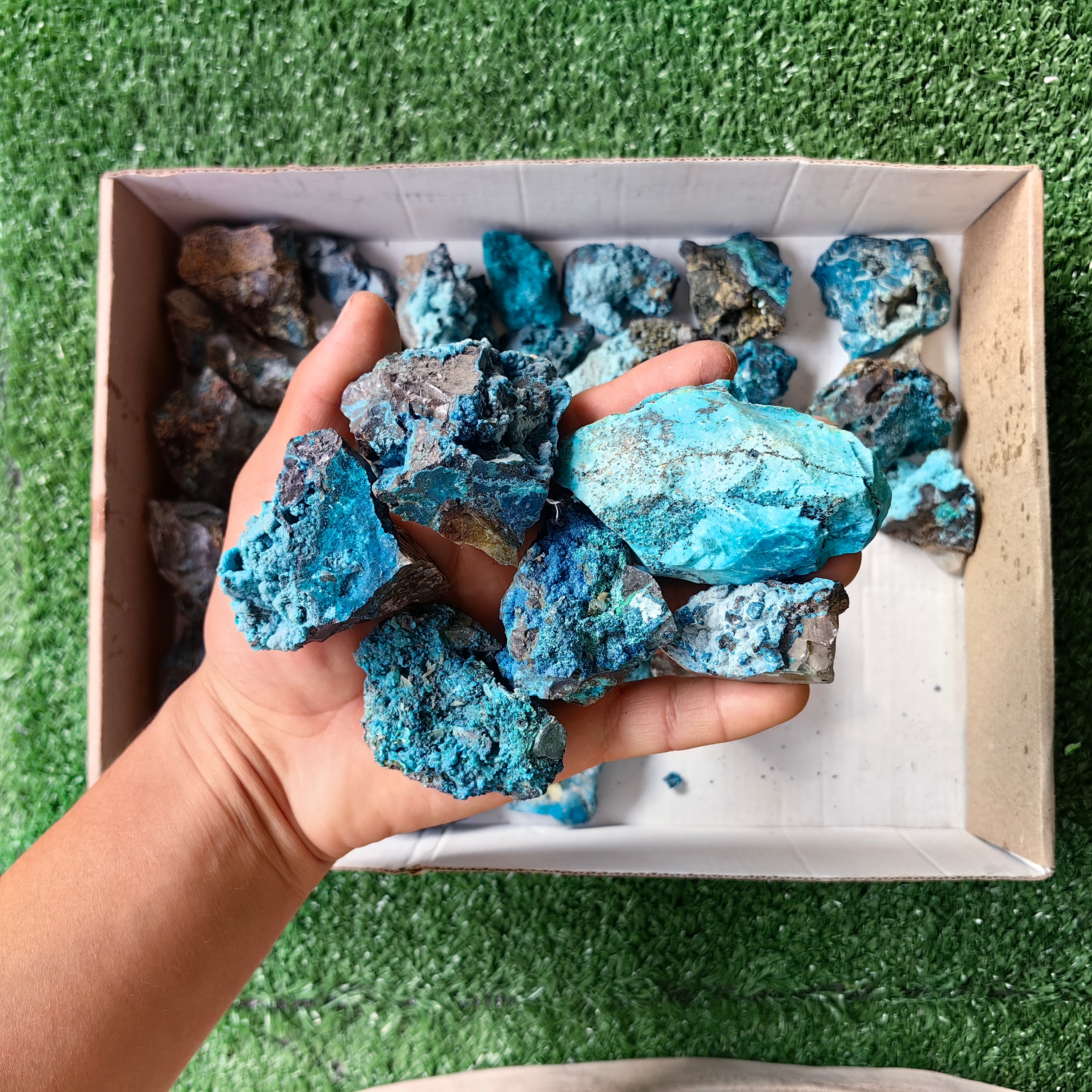 37 pc chrysocolla quartz from tentadora mine