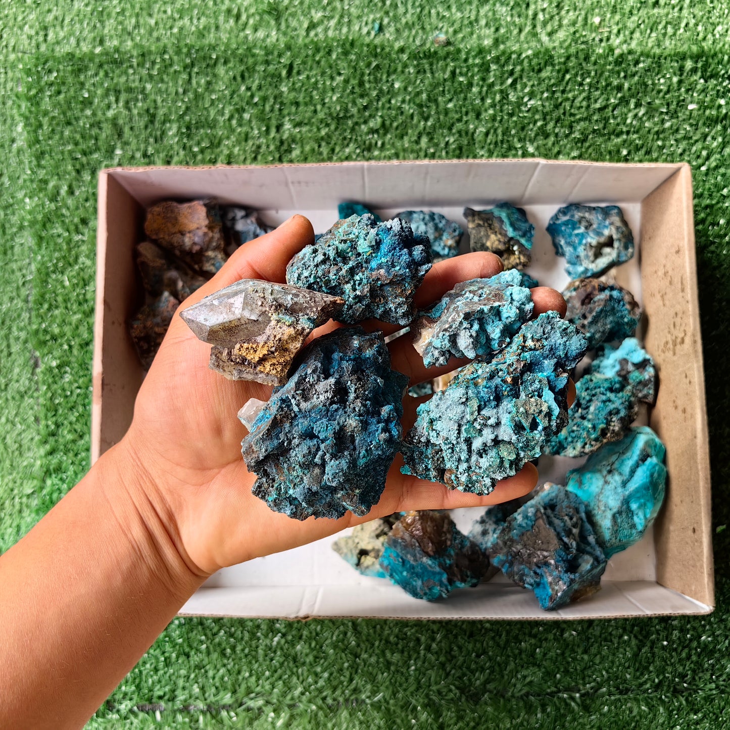 37 pc chrysocolla quartz from tentadora mine