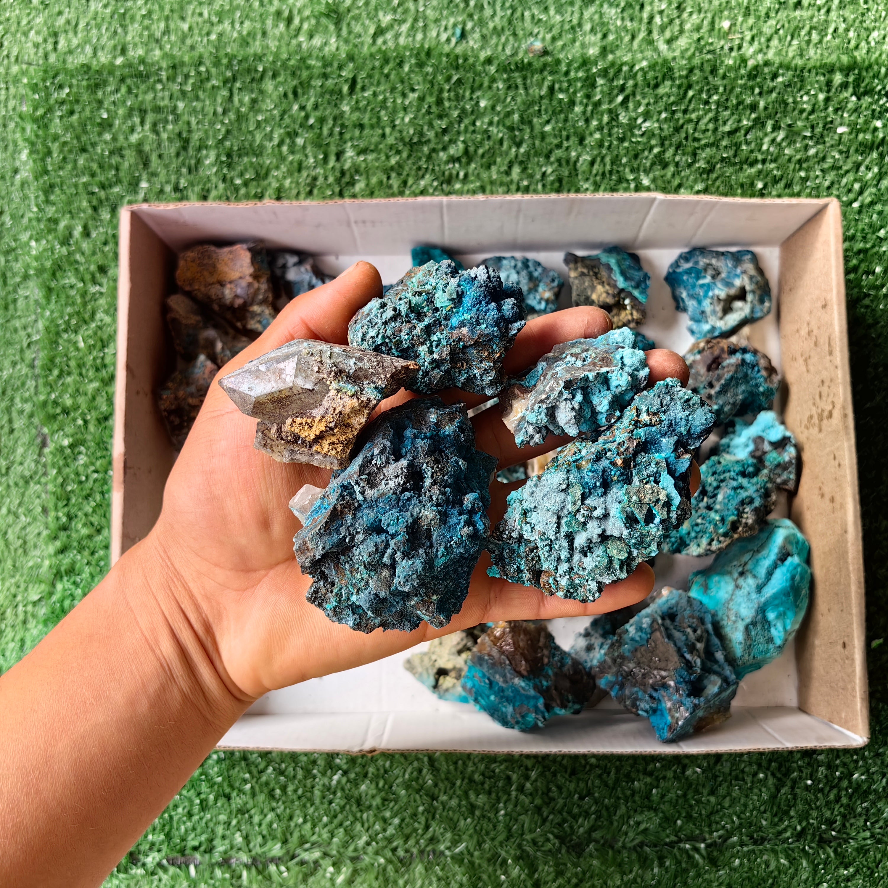 37 pc chrysocolla quartz from tentadora mine