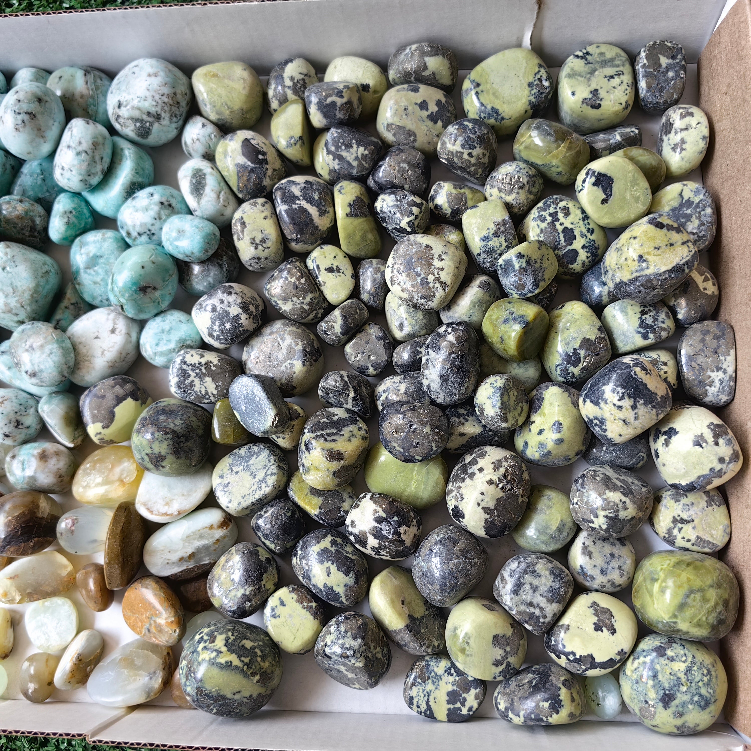 2 kg tumbled chrysoprase / blue opal / serpentine