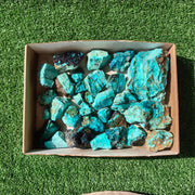 Lot 27 pcs Chrysocolla Rough