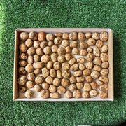 Lot 2 kg Leopardite Tumbled