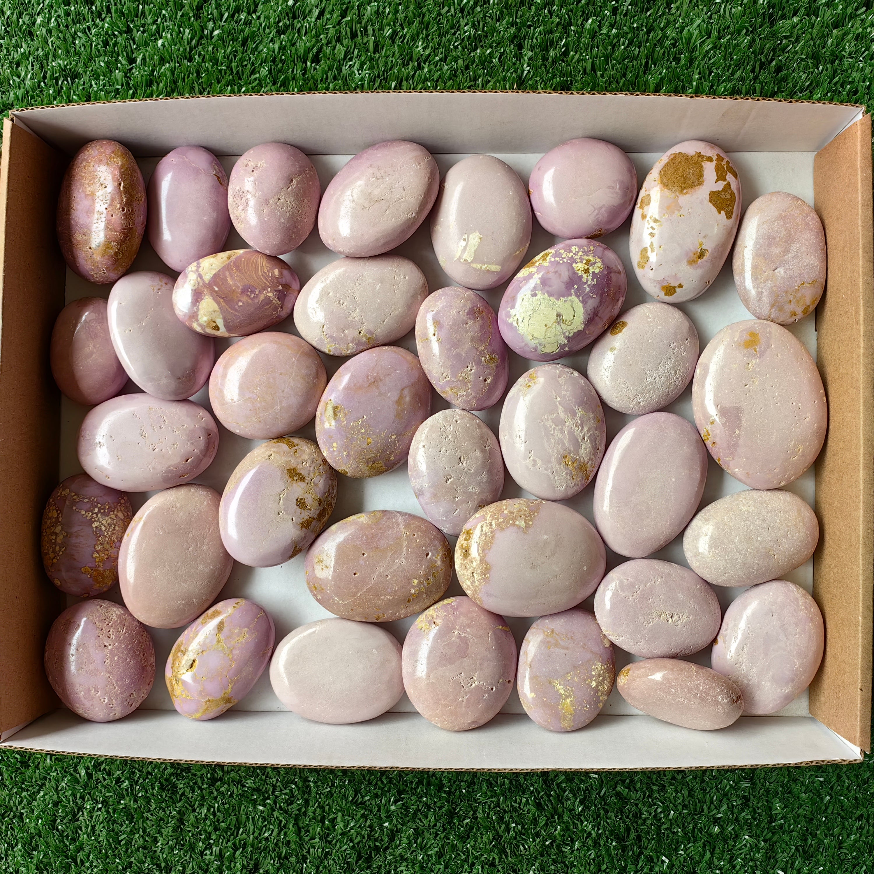 Lot 36 pcs Phosphosiderite Palm