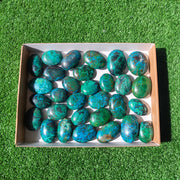 Lot 30 pcs Chrysocolla Palm