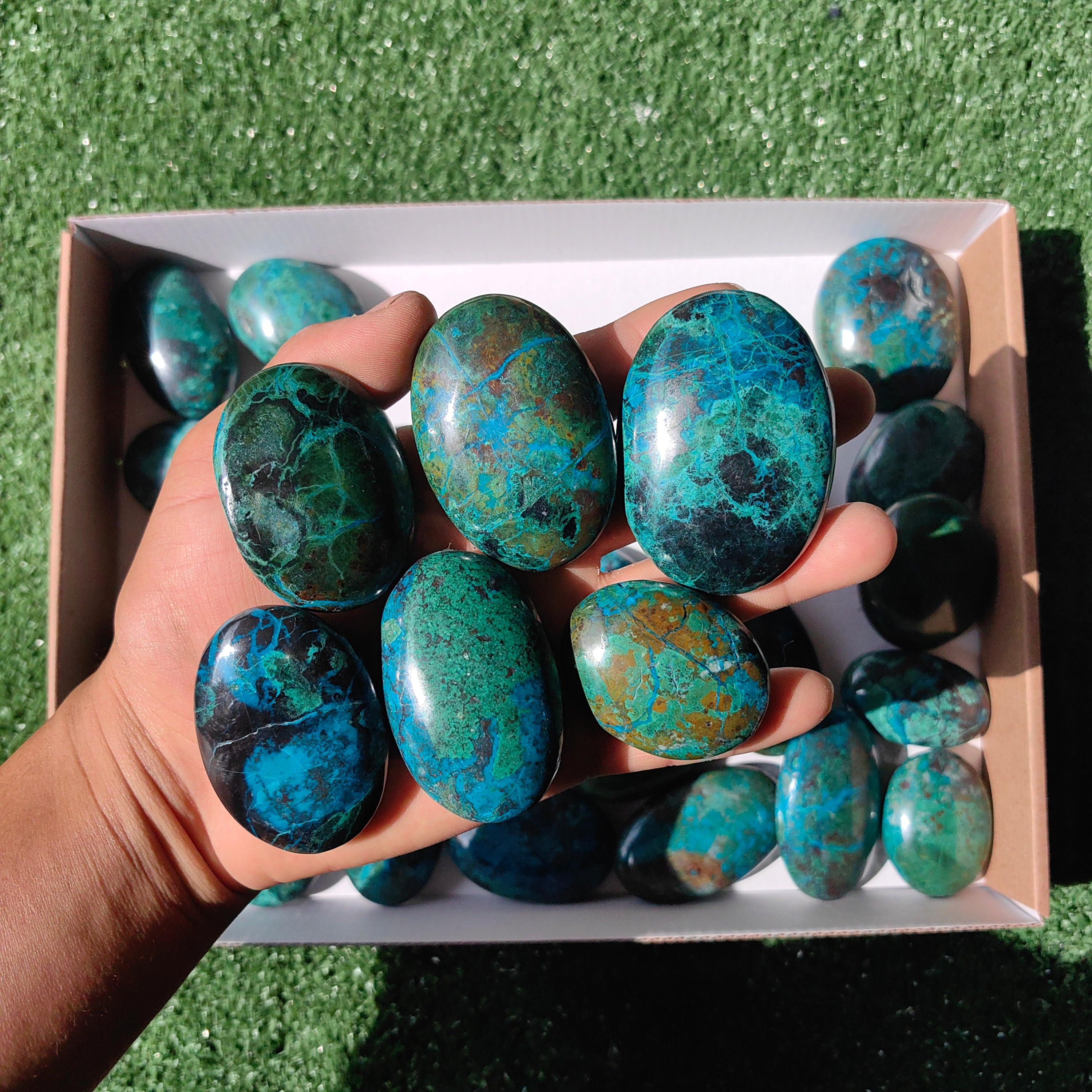 Lot 30 pcs Chrysocolla Palm