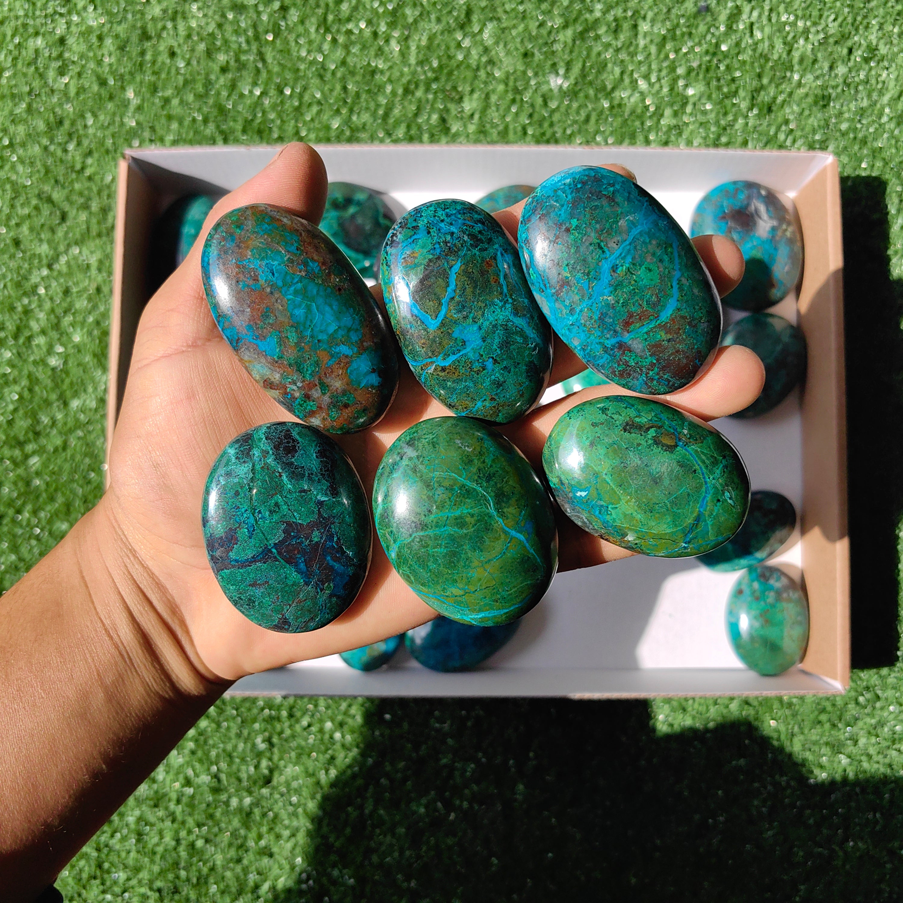 Lot 30 pcs Chrysocolla Palm