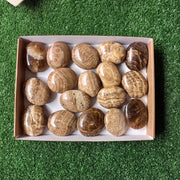 Lot 2.2 Kg Aragonite Palm