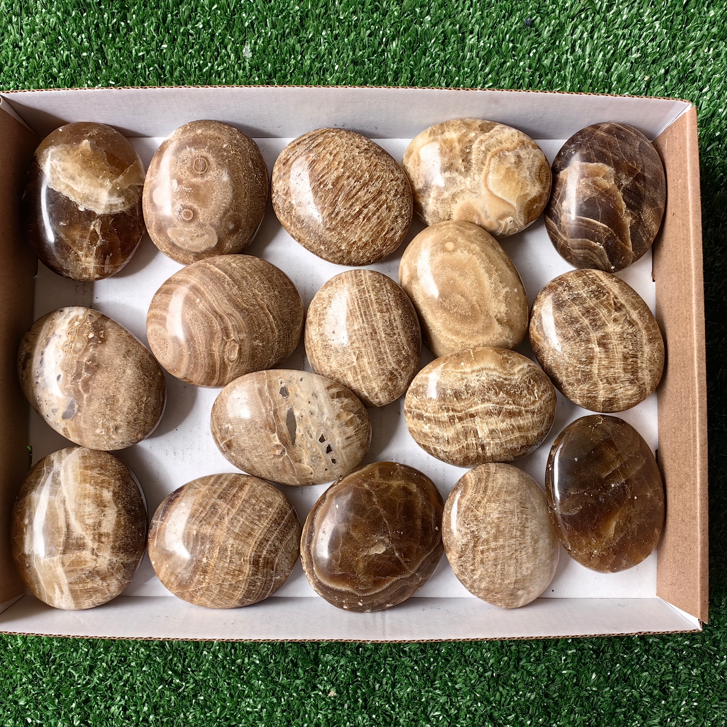 Lot 2.2 Kg Aragonite Palm