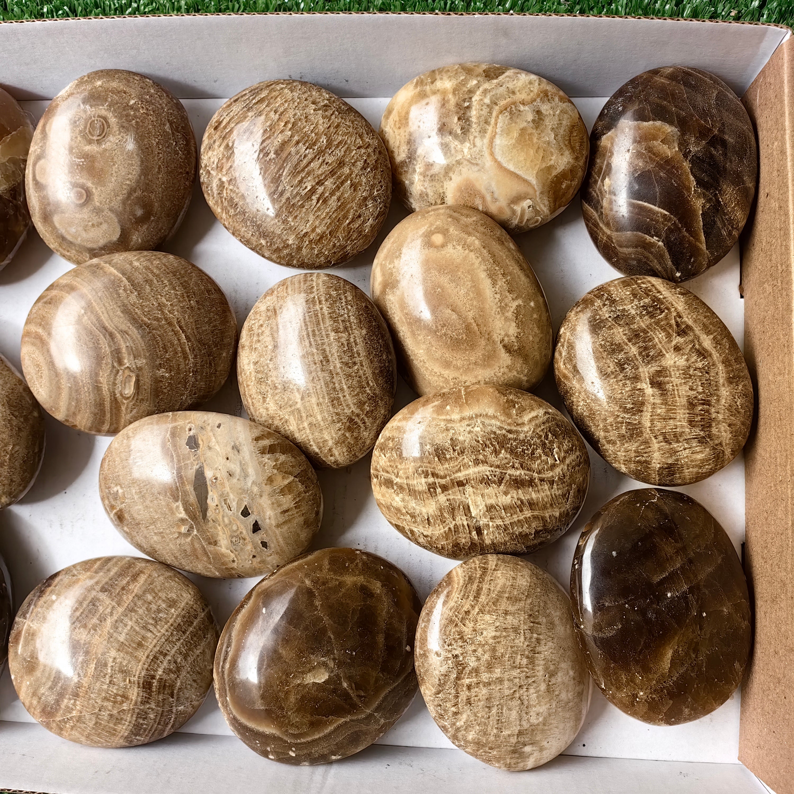 Lot 2.2 Kg Aragonite Palm