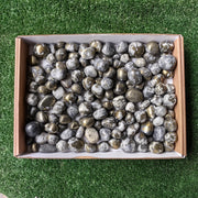 Lot 2.8 kg Chalcopyrite on Quartz Tumbled