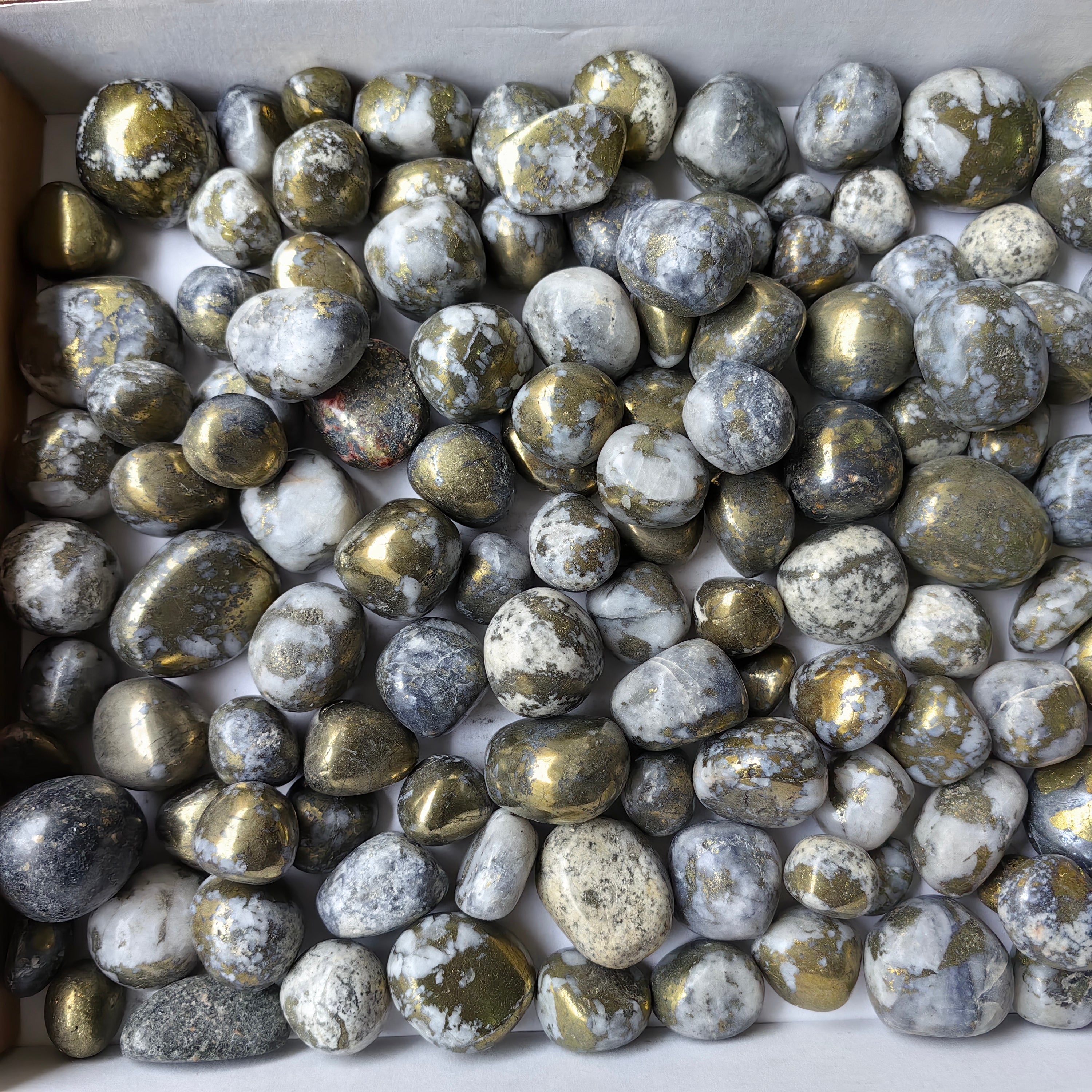Lot 2.8 kg Chalcopyrite on Quartz Tumbled