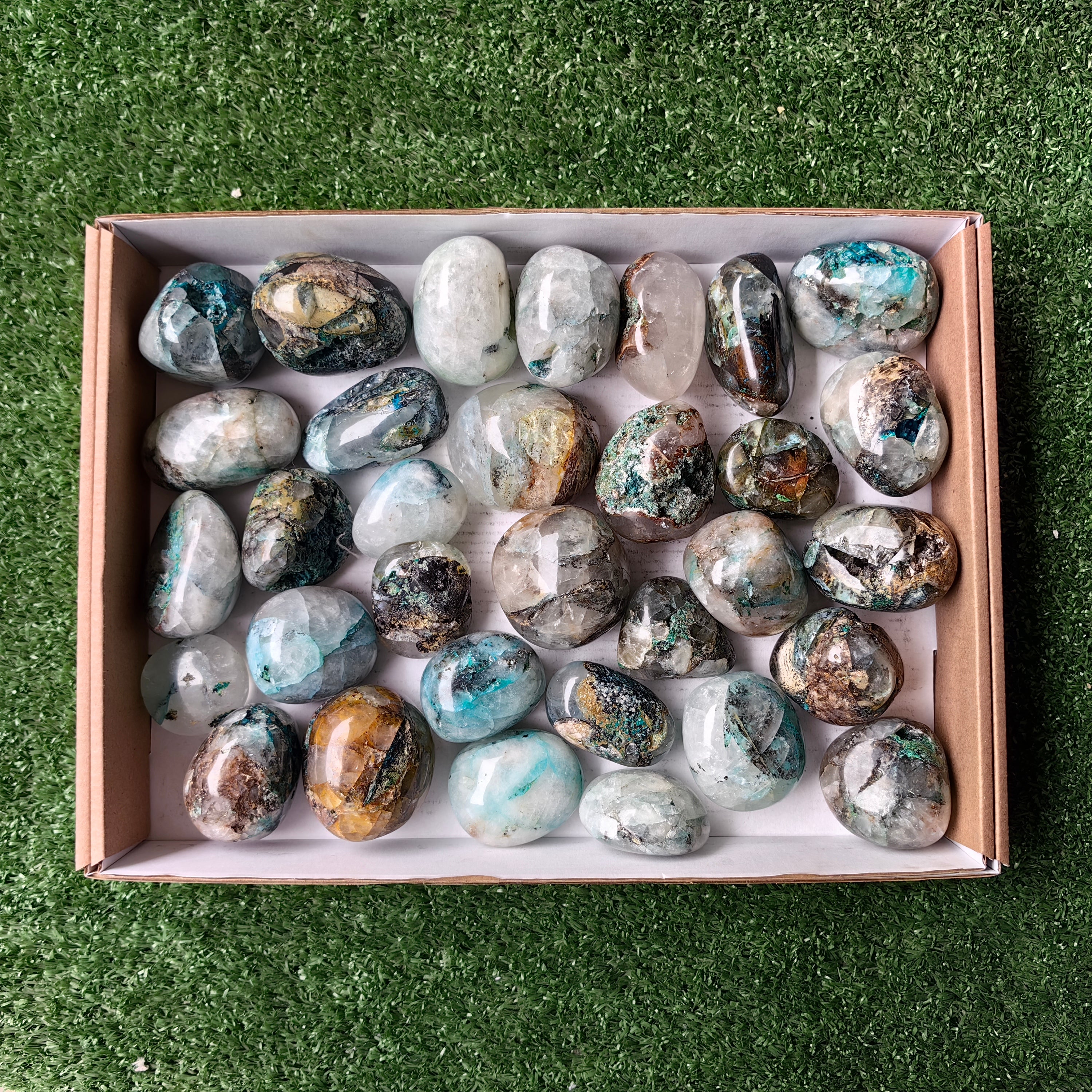 Lot 32 pcs Quantum Quattro Free Form