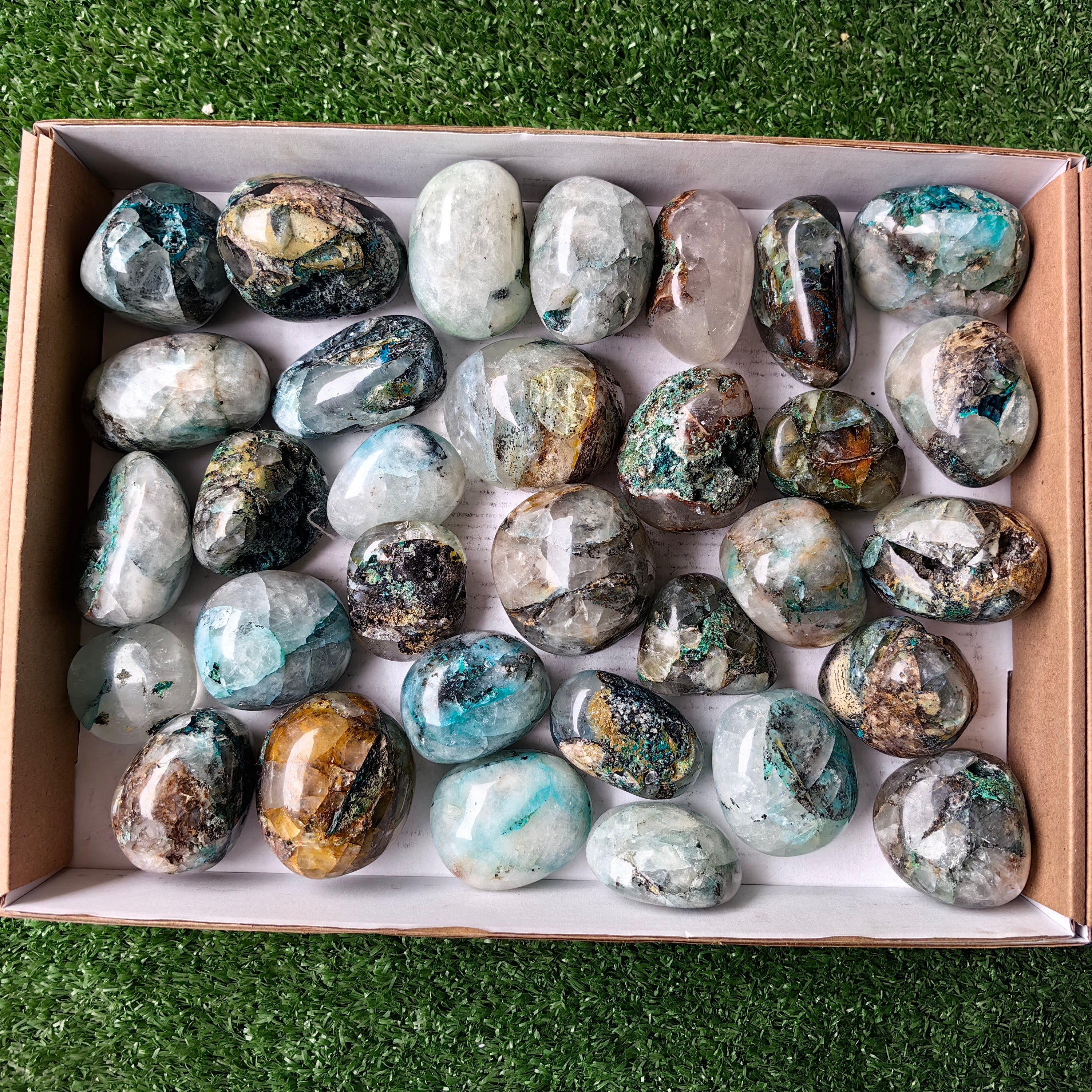 Lot 32 pcs Quantum Quattro Free Form