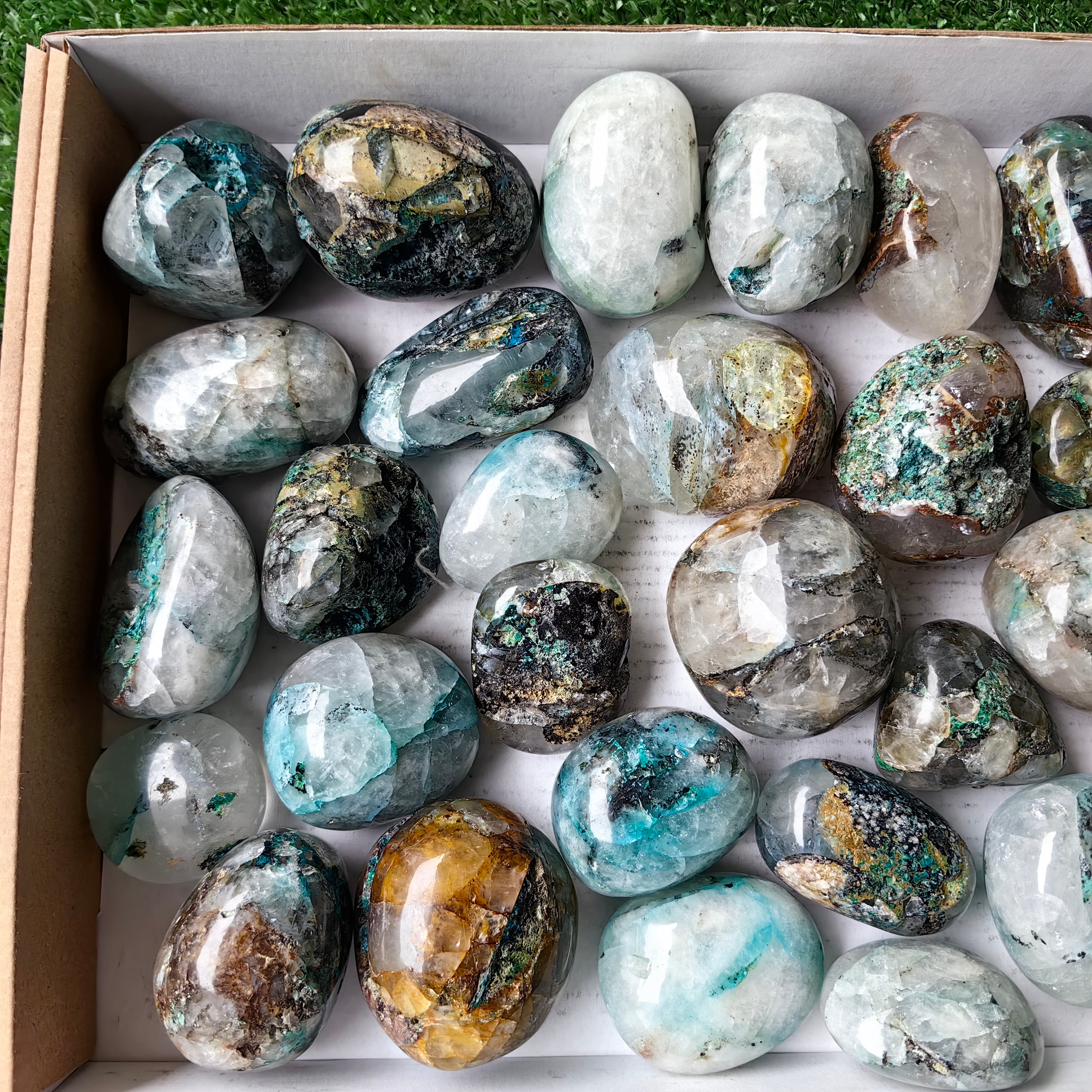 Lot 32 pcs Quantum Quattro Free Form