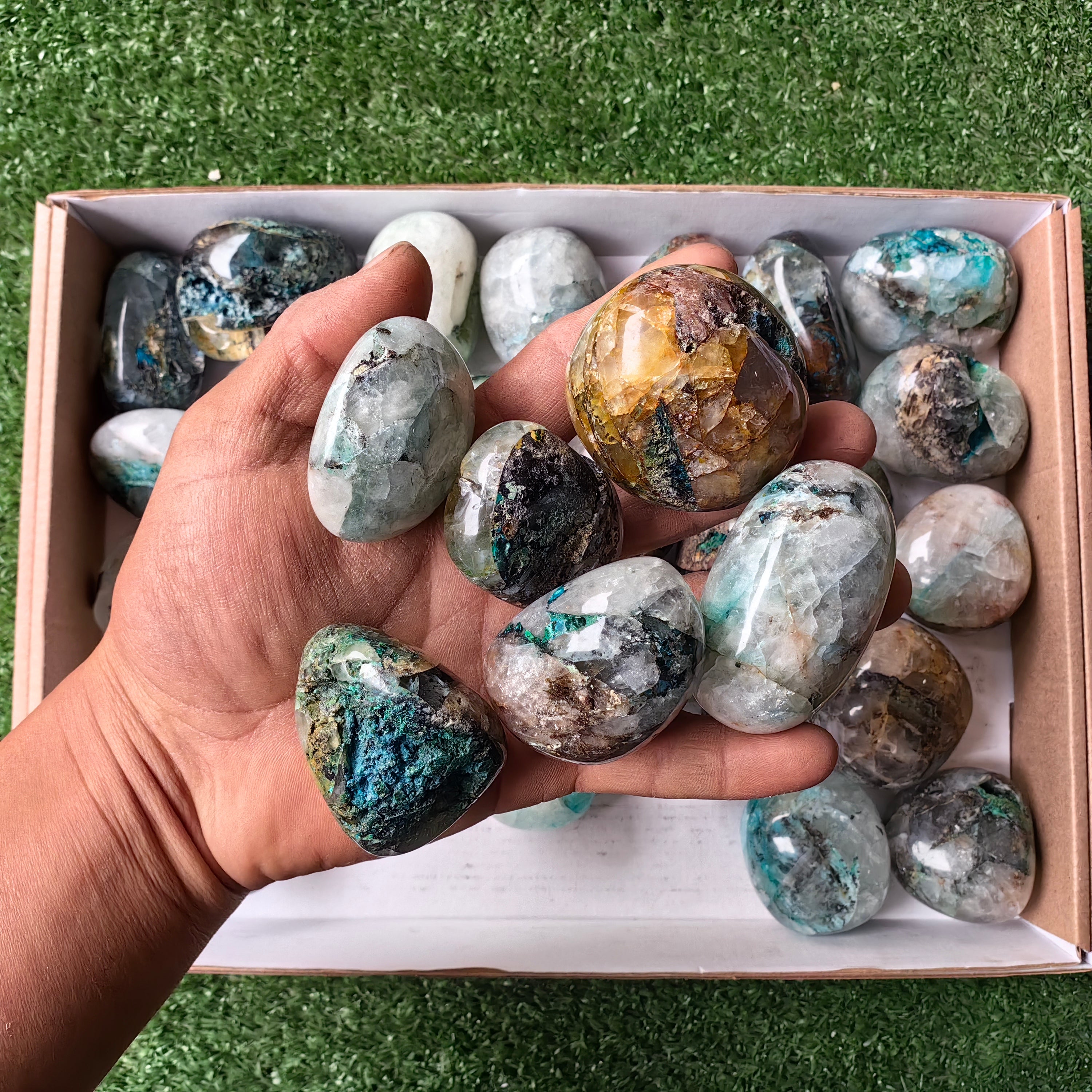 Lot 32 pcs Quantum Quattro Free Form