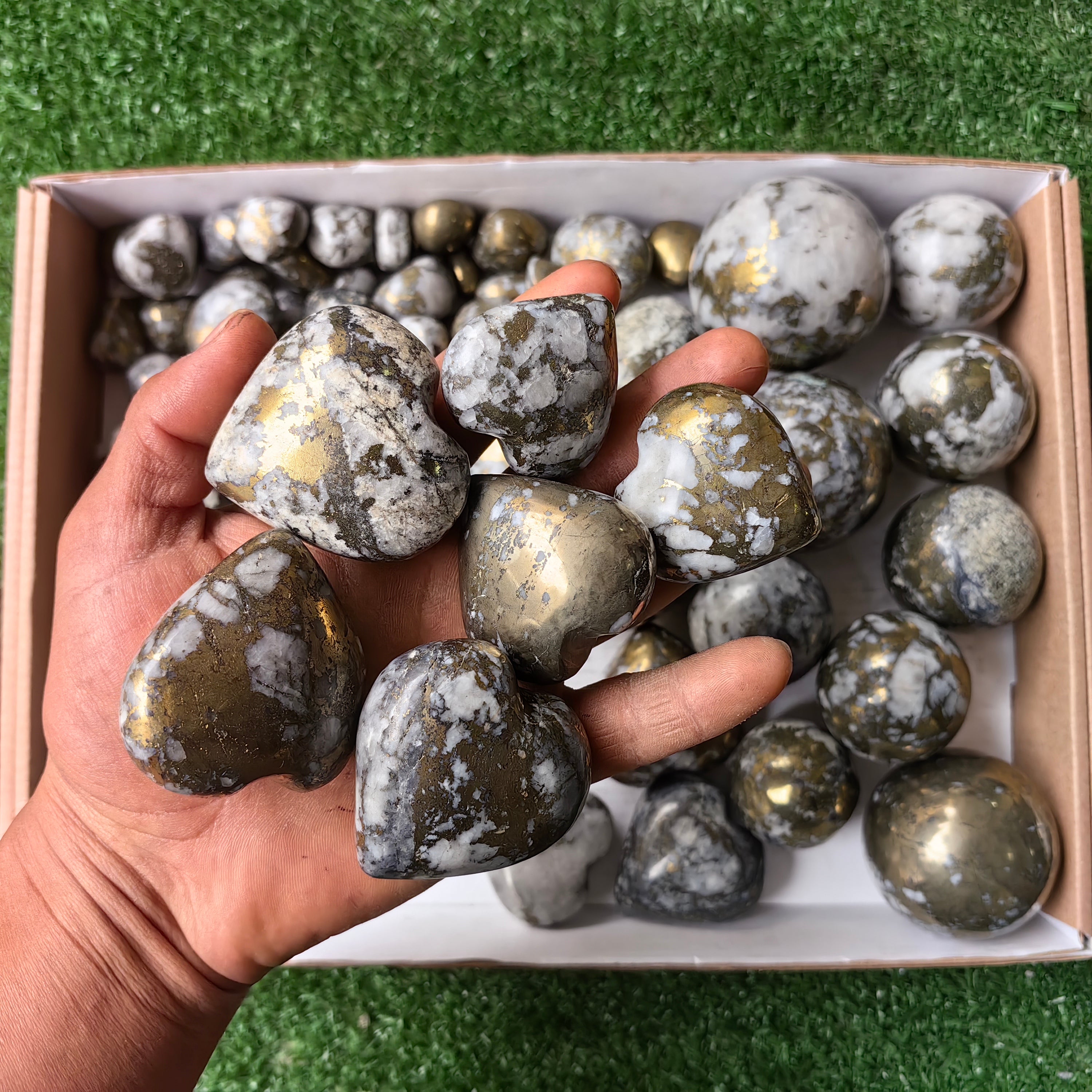 Lot 3.7 kg Chalcopyrite on Quartz Mixed