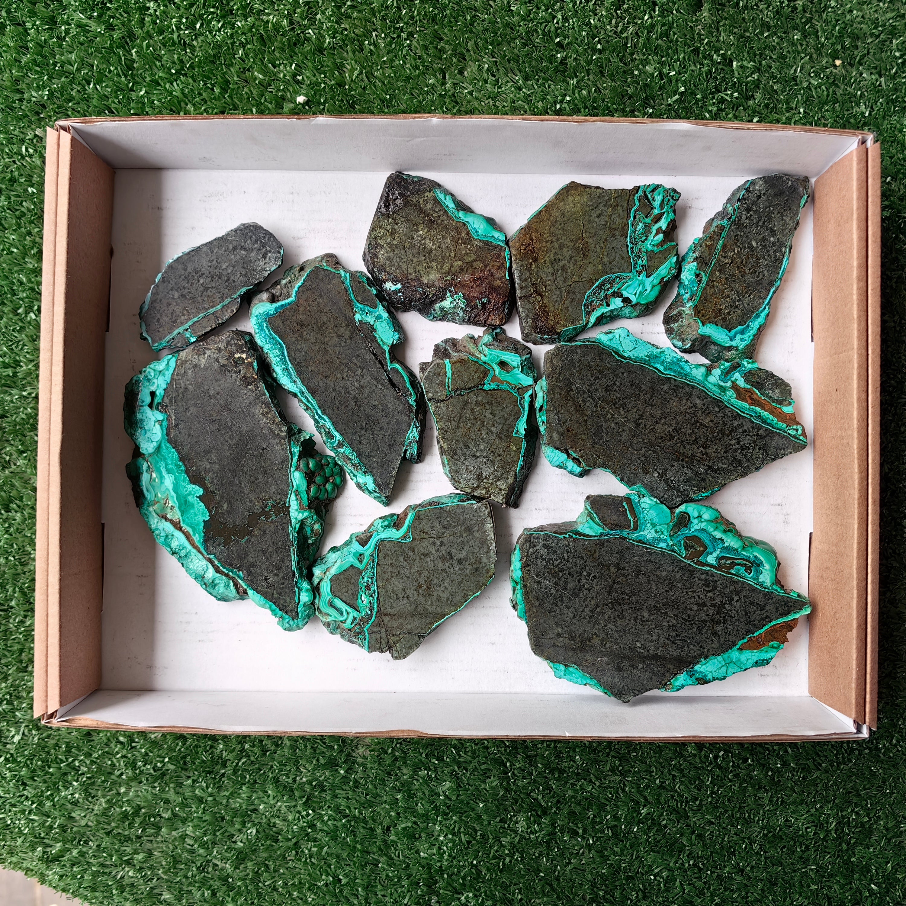 Lot 10 pcs Malachite Slices