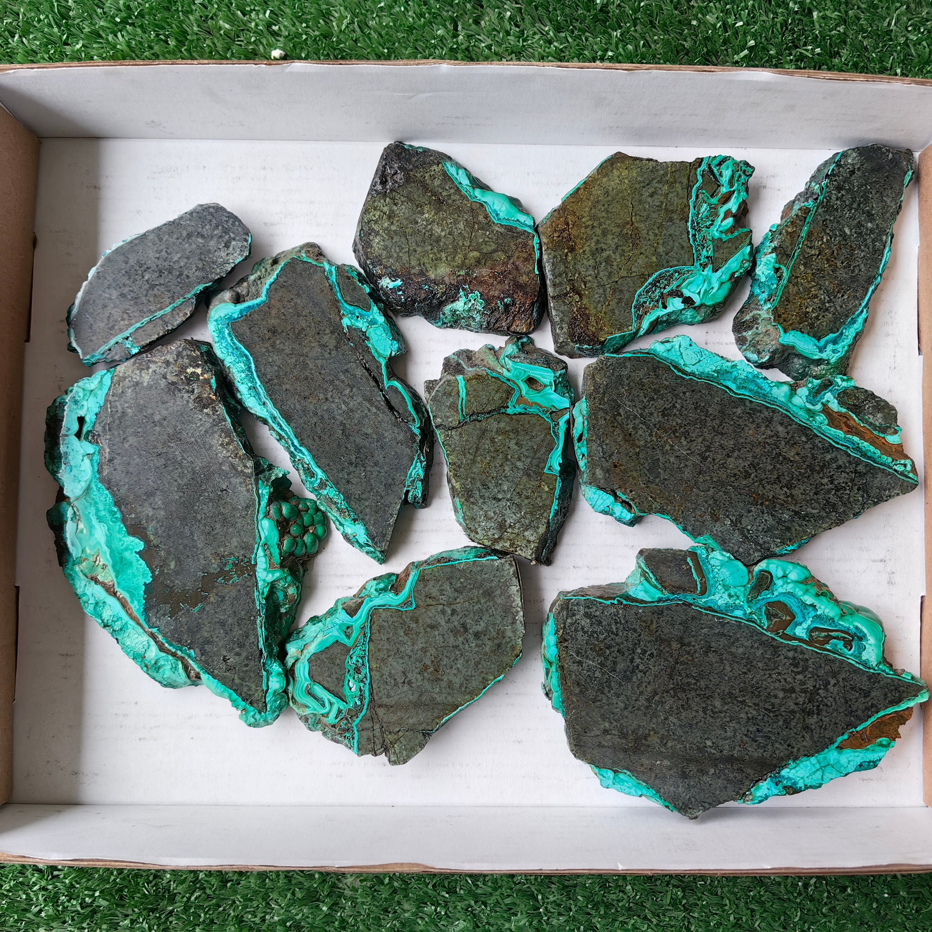 Lot 10 pcs Malachite Slices