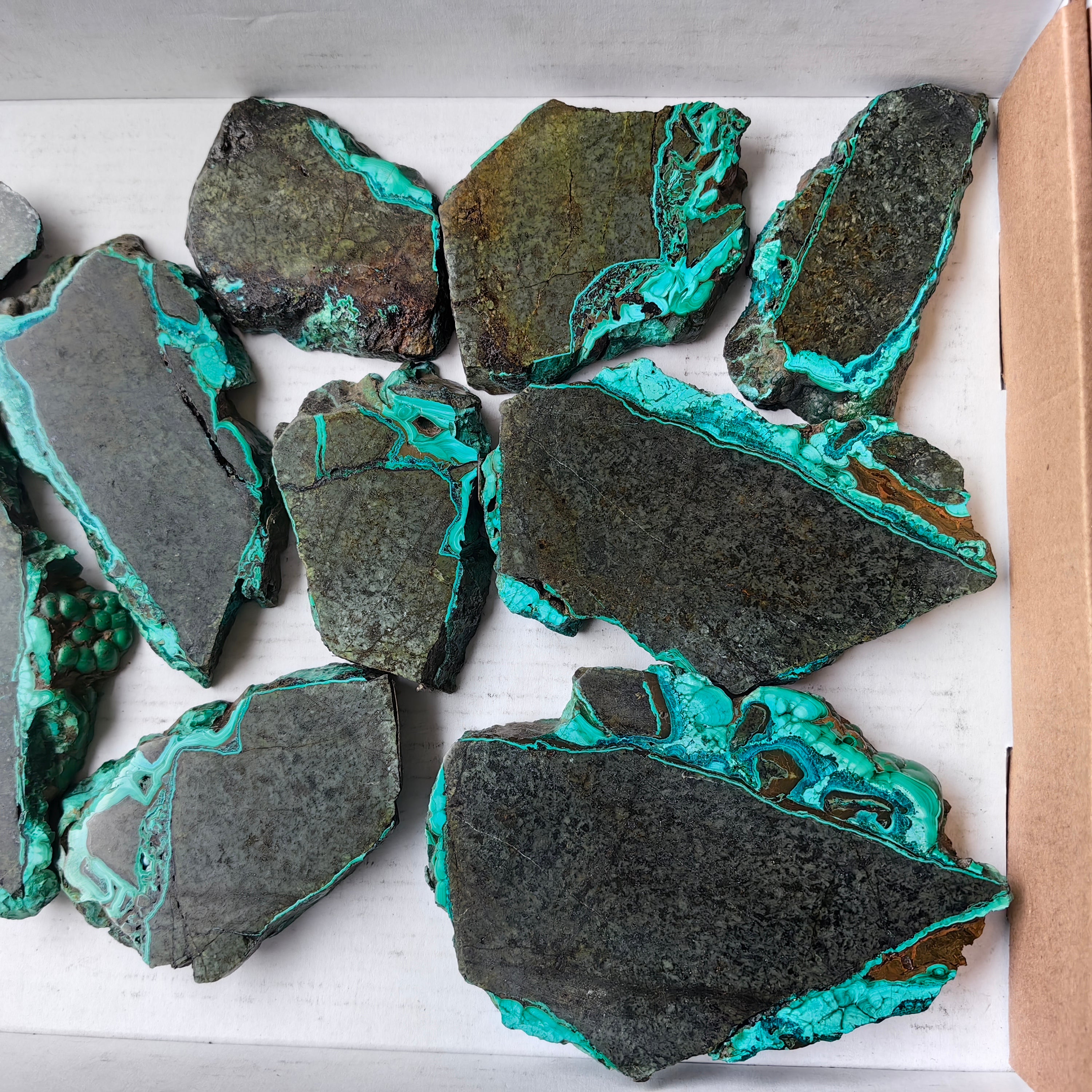 Lot 10 pcs Malachite Slices