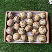 Lot 22 pcs  on Angelite Sphere