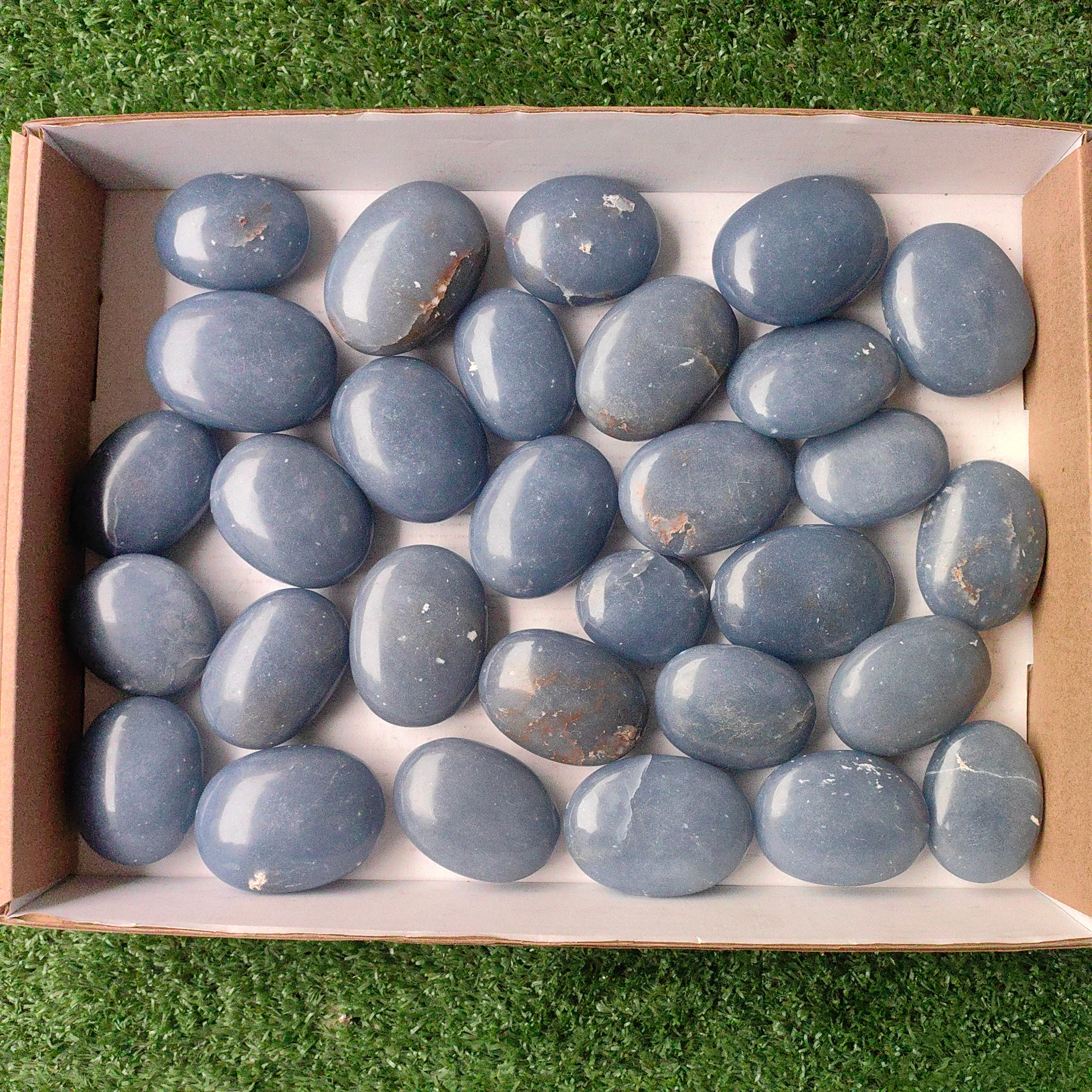Lot 30 pcs Angelite Palm