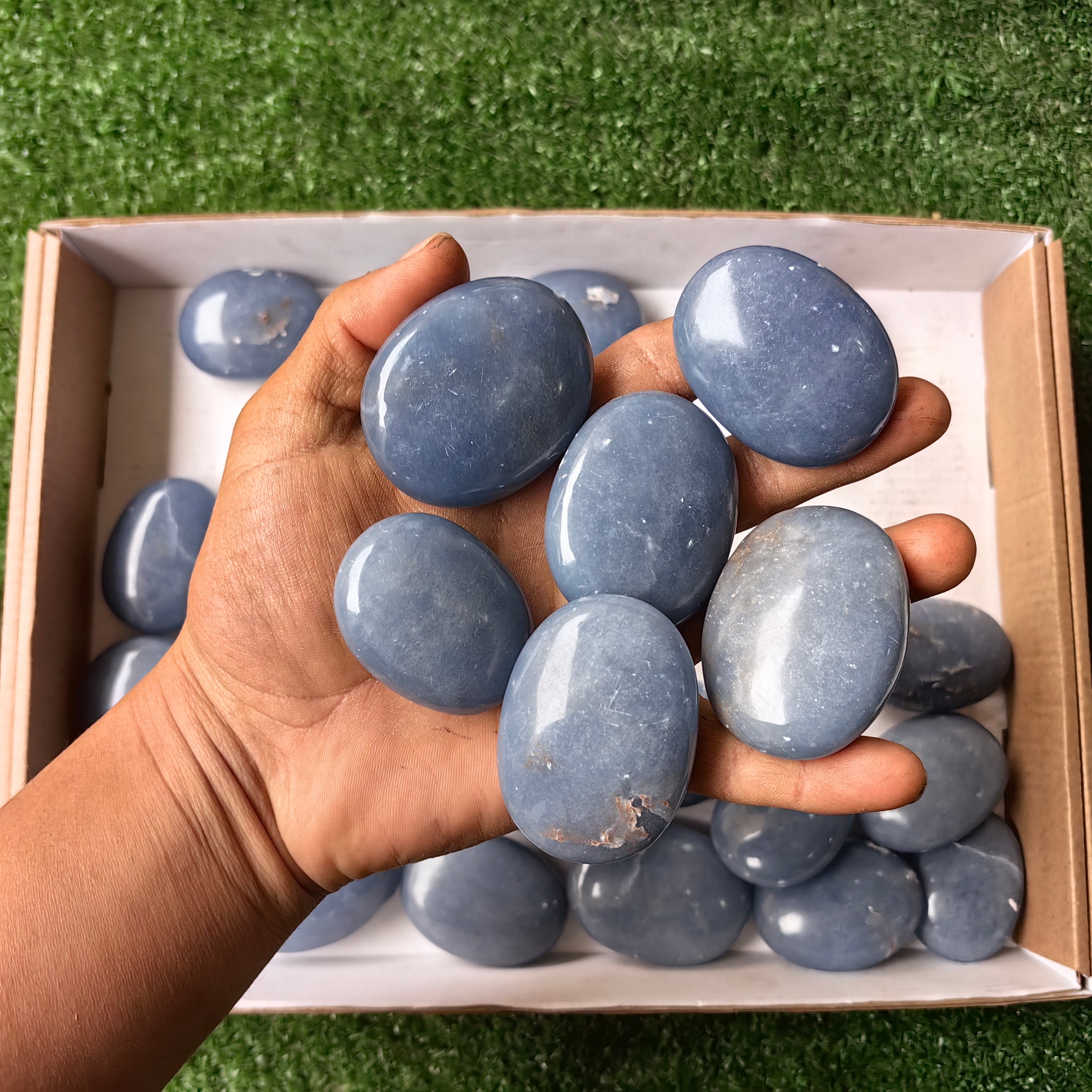 Lot 30 pcs Angelite Palm