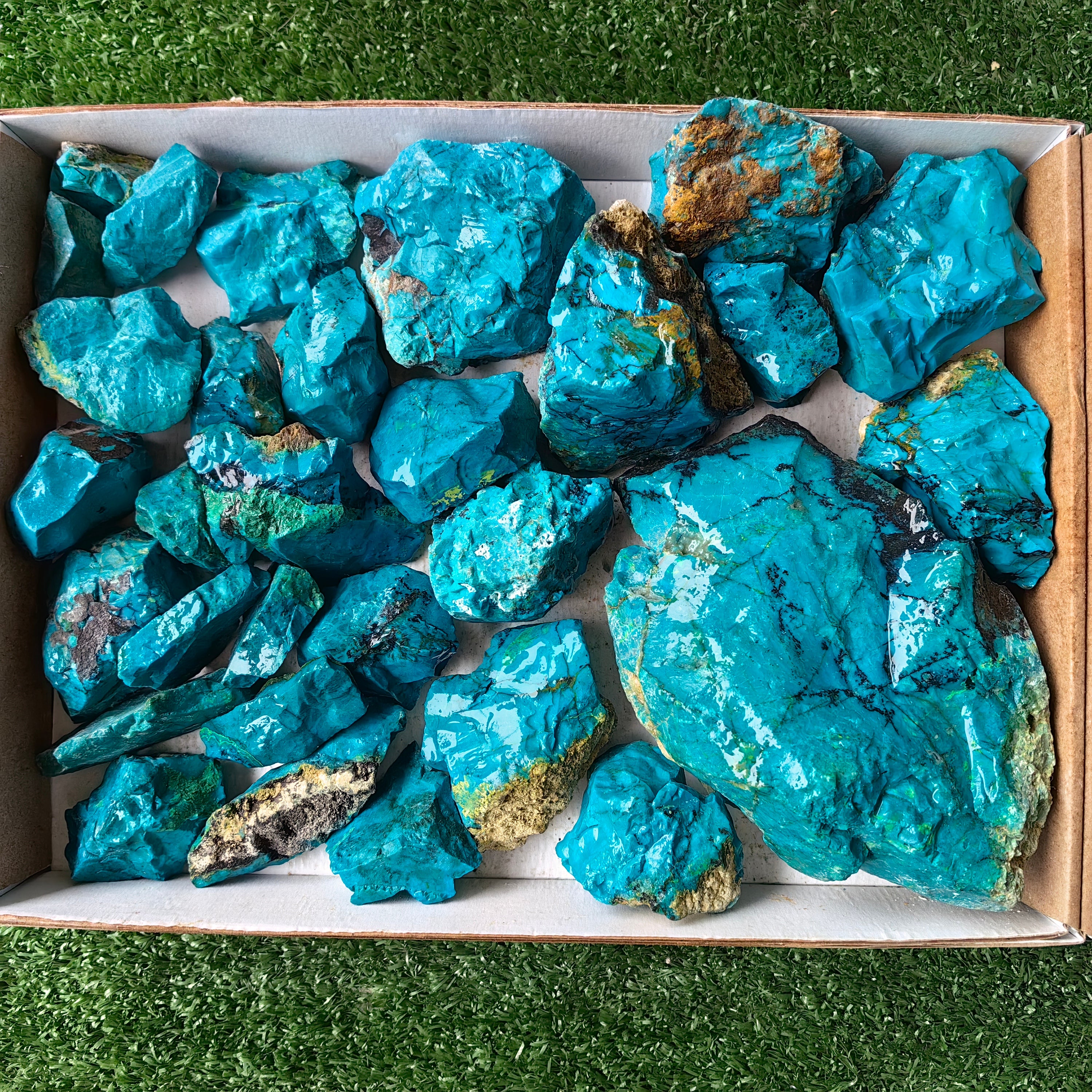 Lot 30 pcs Chrysocolla Rough