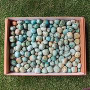 Lot 2 kg Peruvian Turquoise Tumbled