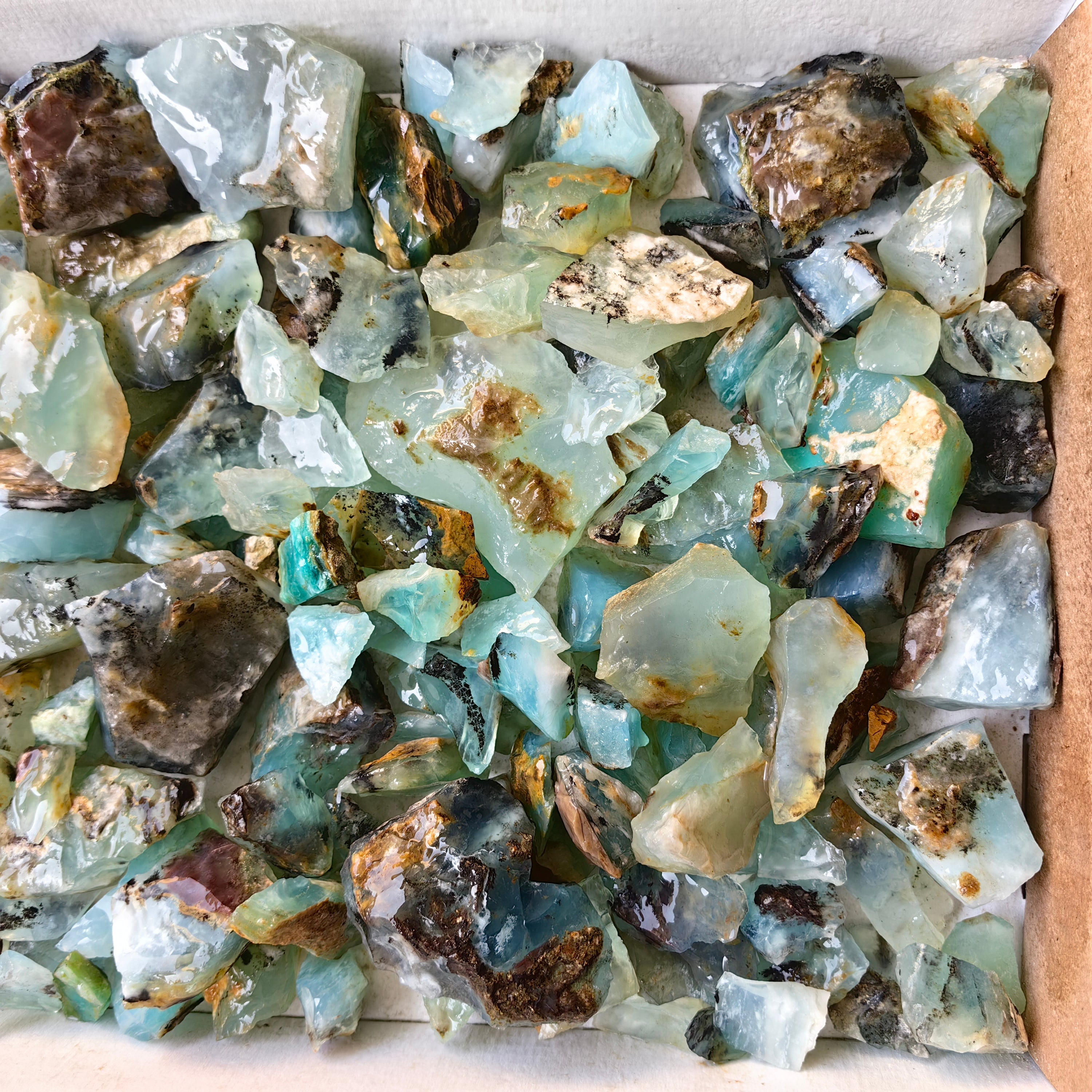 Lot 1.5 kg Andean Opal rough