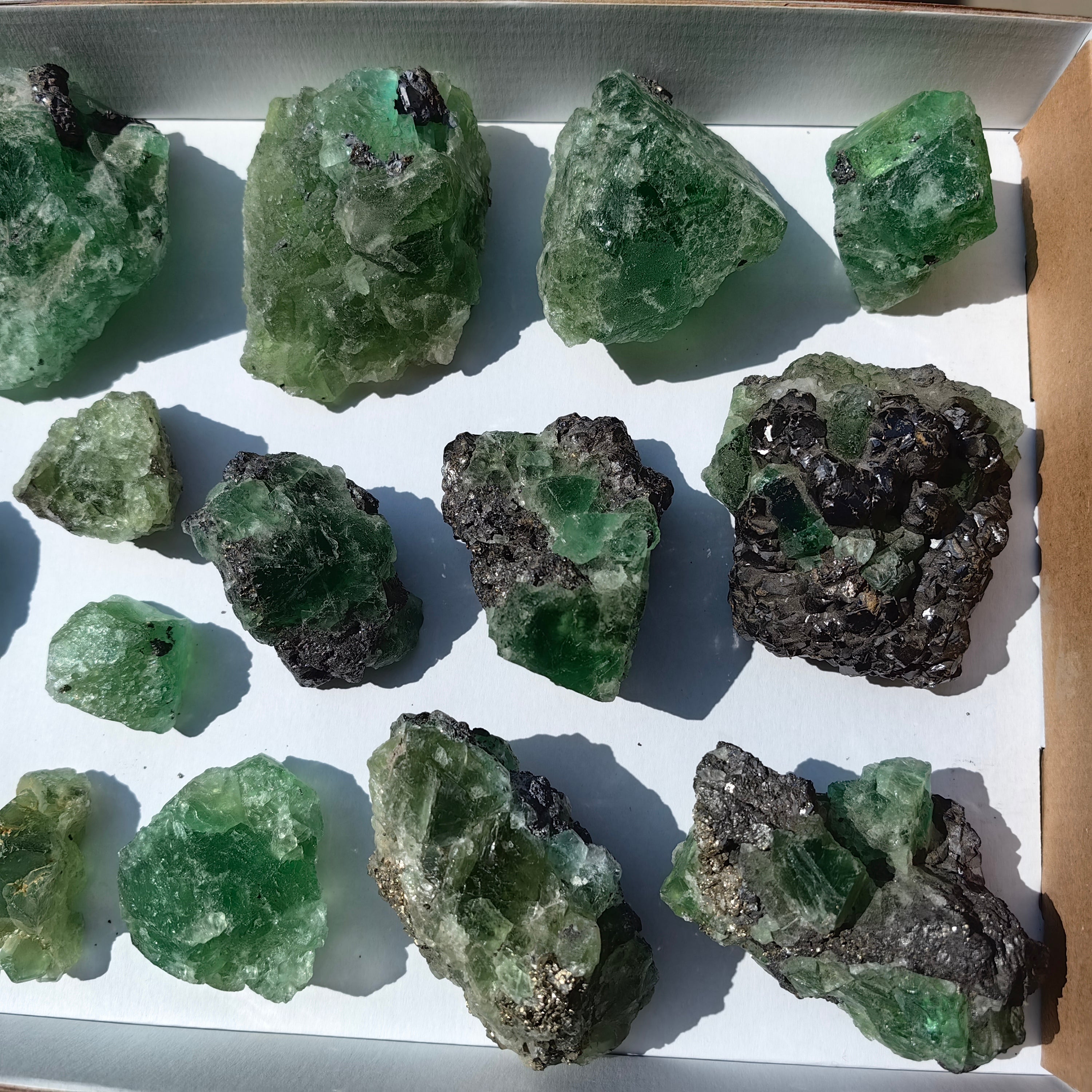 Lot 15 pcs  Green Fluorite Rough