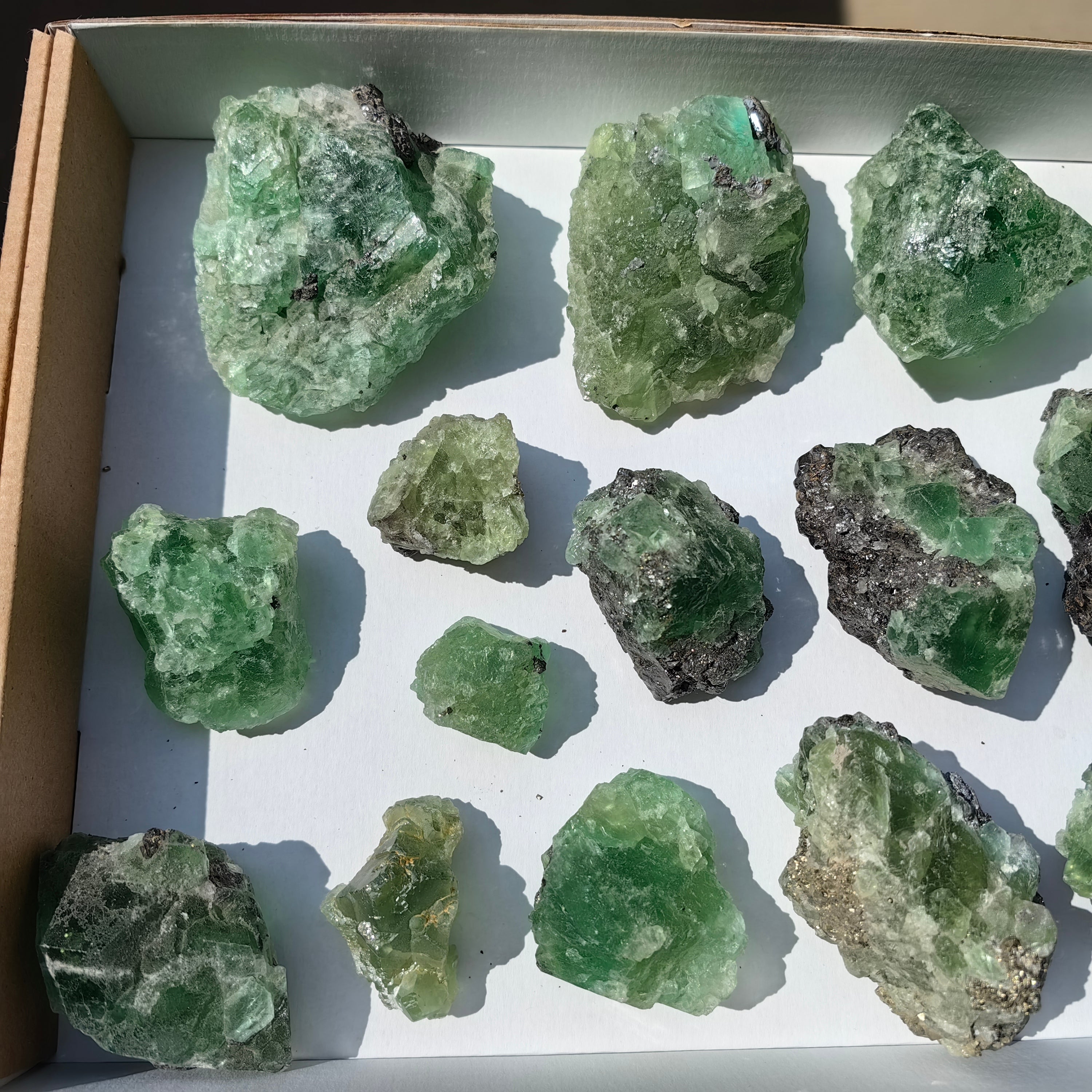 Lot 15 pcs  Green Fluorite Rough