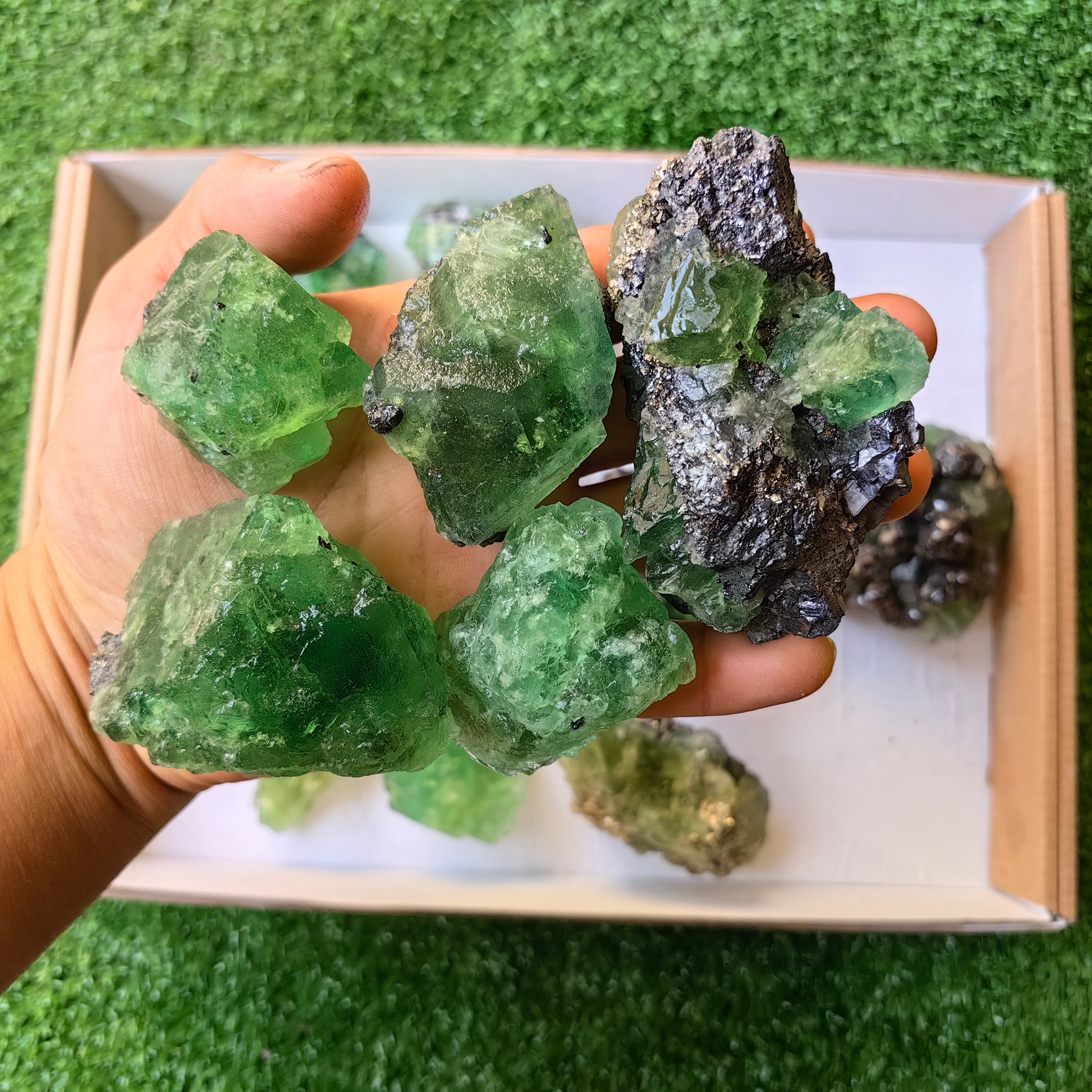 Lot 15 pcs  Green Fluorite Rough