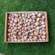 Lot 2.3 kg Phosphosiderite Tumbled