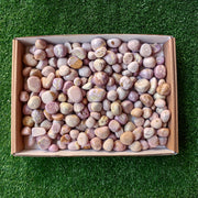 Lot 2.3 kg Phosphosiderite Tumbled