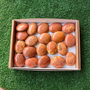 Lot 20 pcs Jaspe Orange Palm