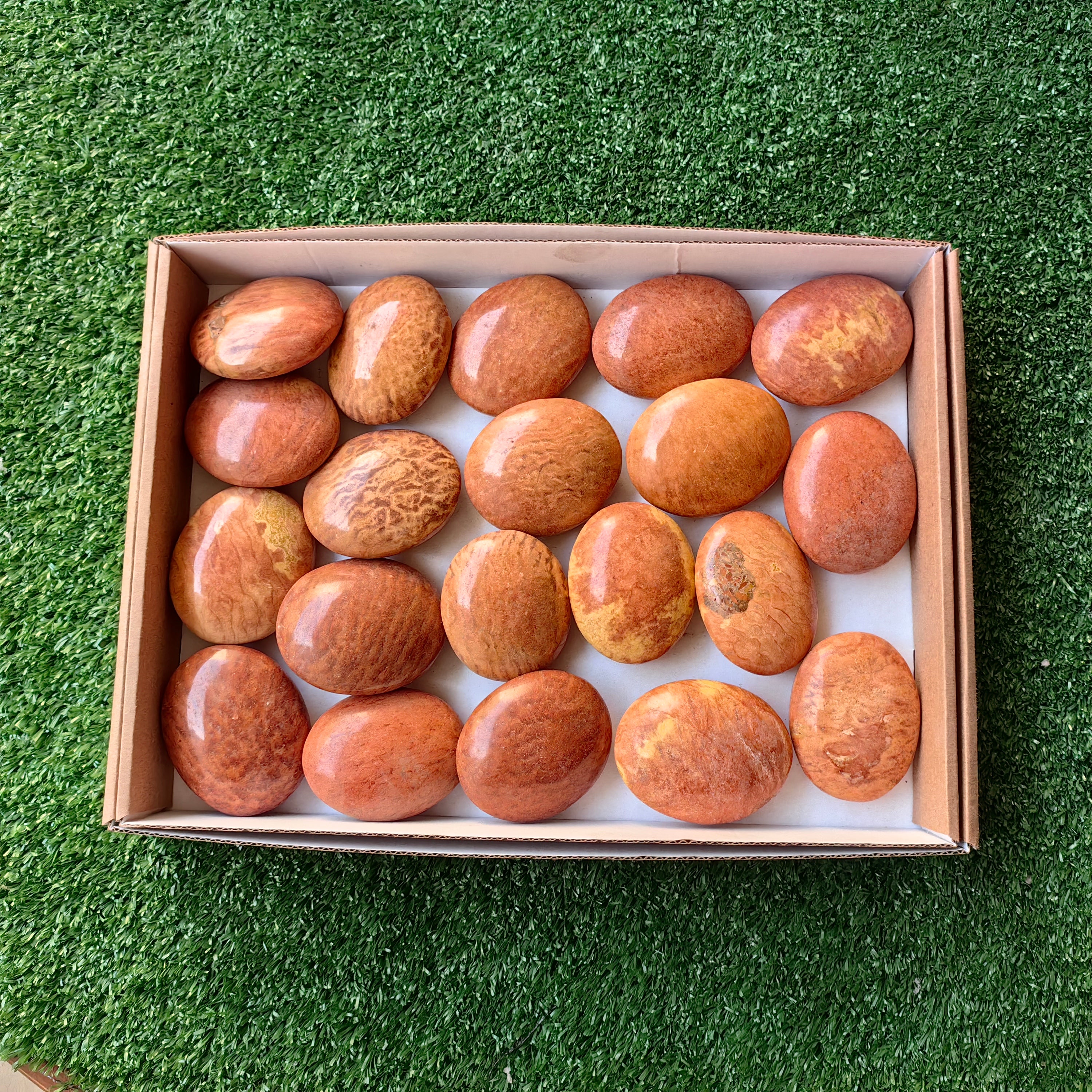 Lot 20 pcs Jaspe Orange Palm