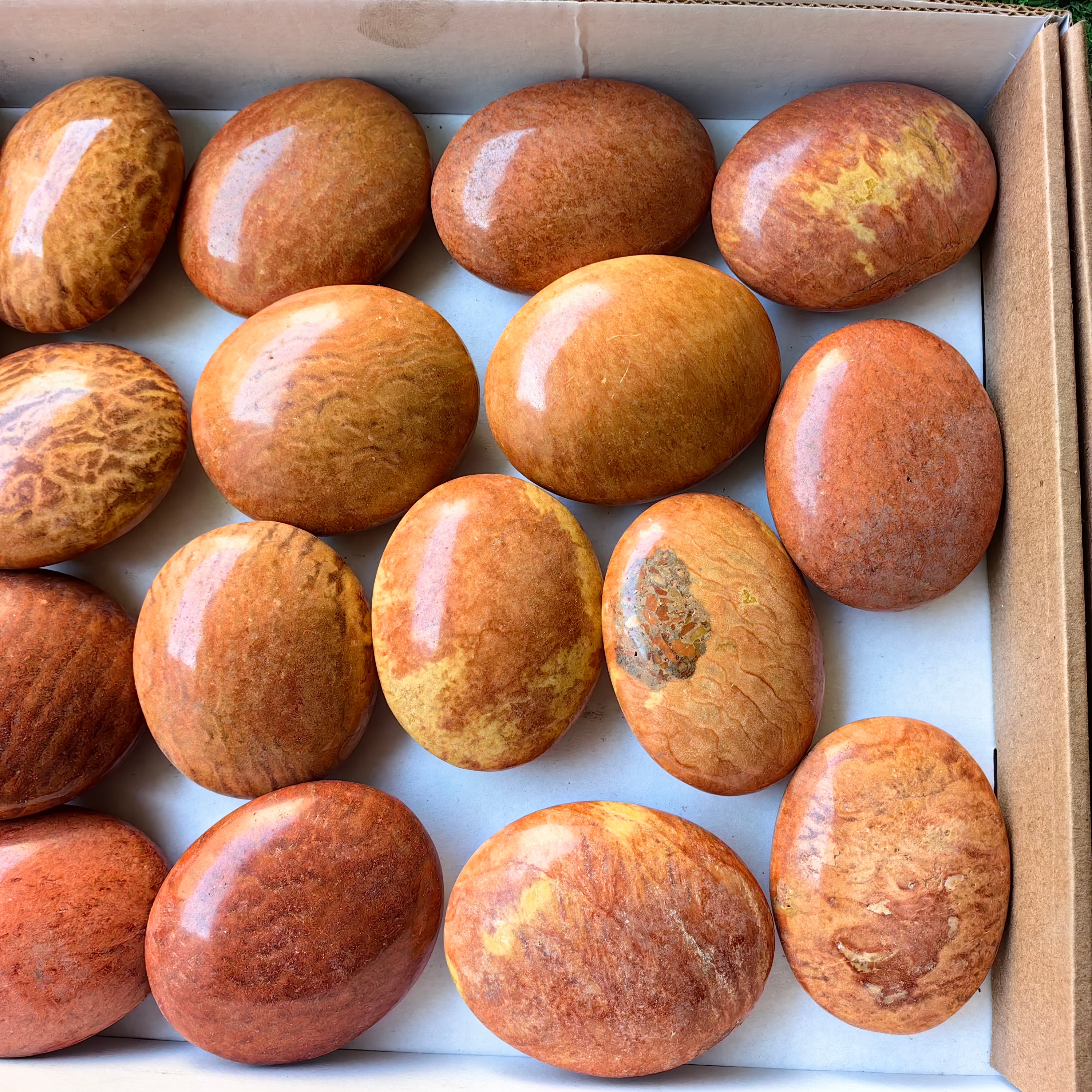 Lot 20 pcs Jaspe Orange Palm