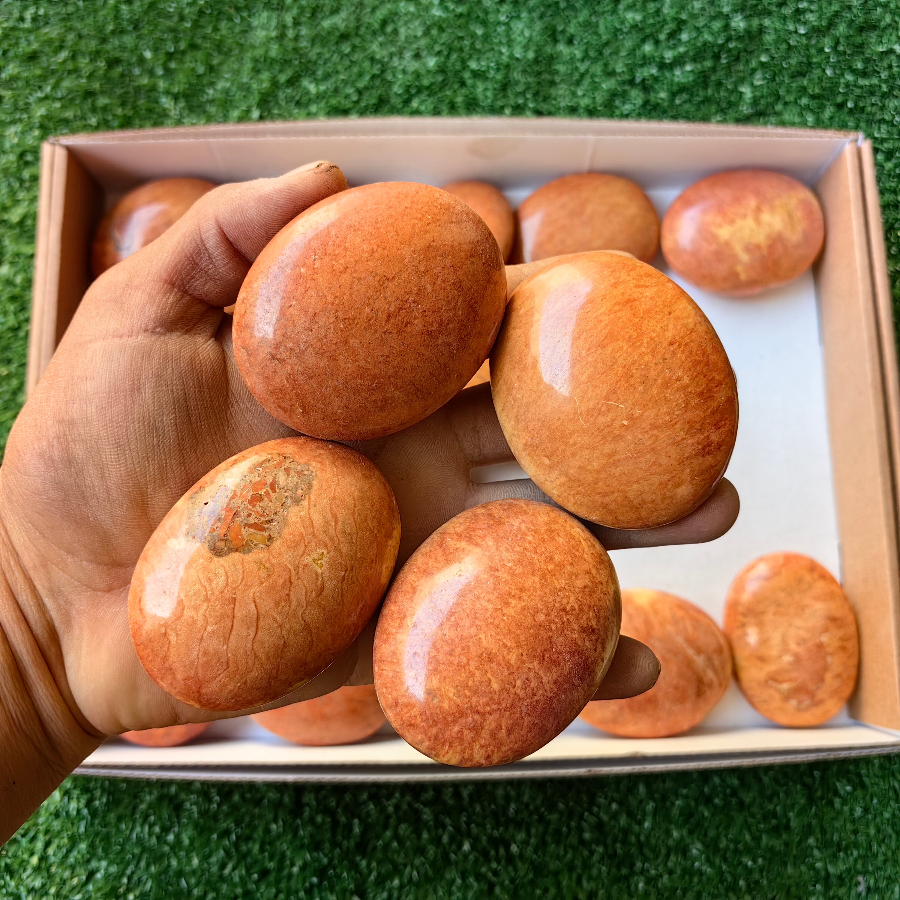 Lot 20 pcs Jaspe Orange Palm