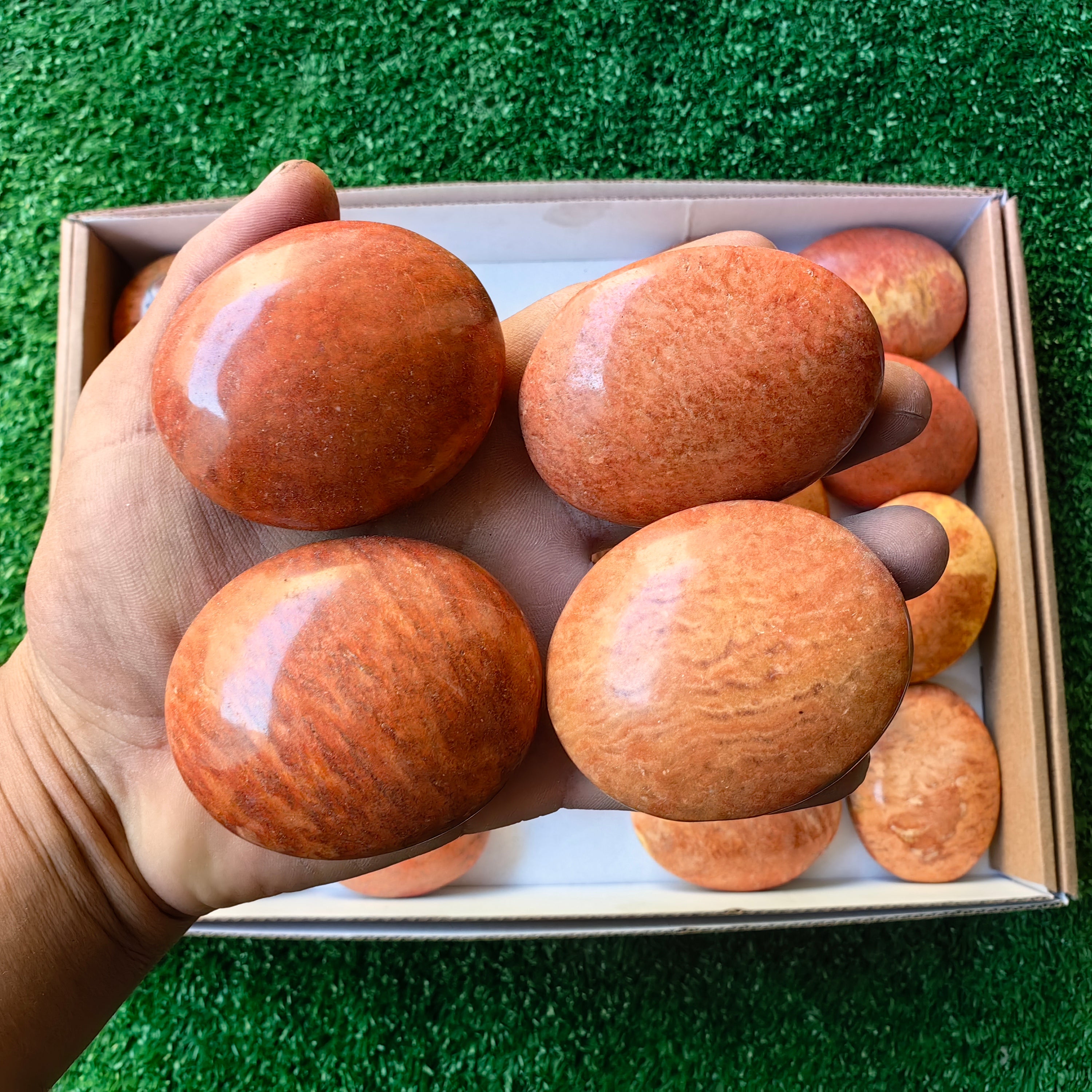 Lot 20 pcs Jaspe Orange Palm